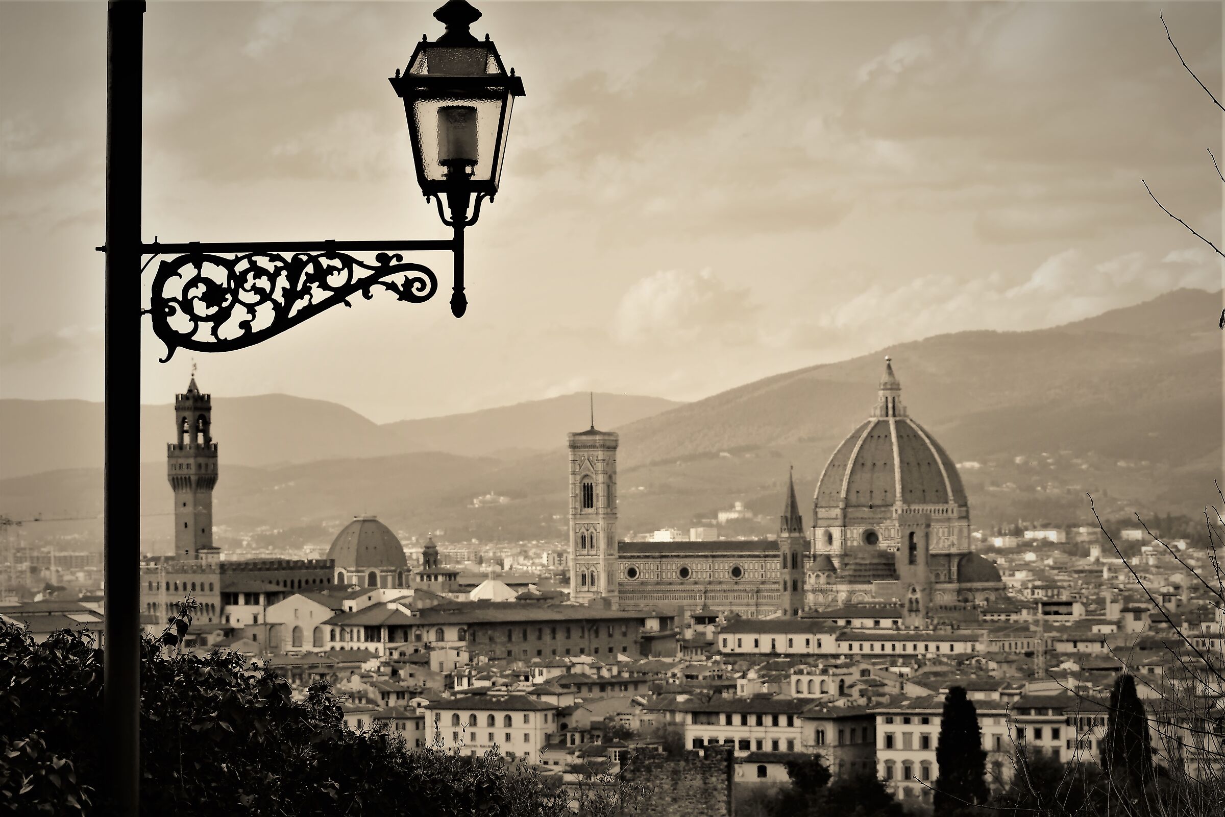firenze in bw