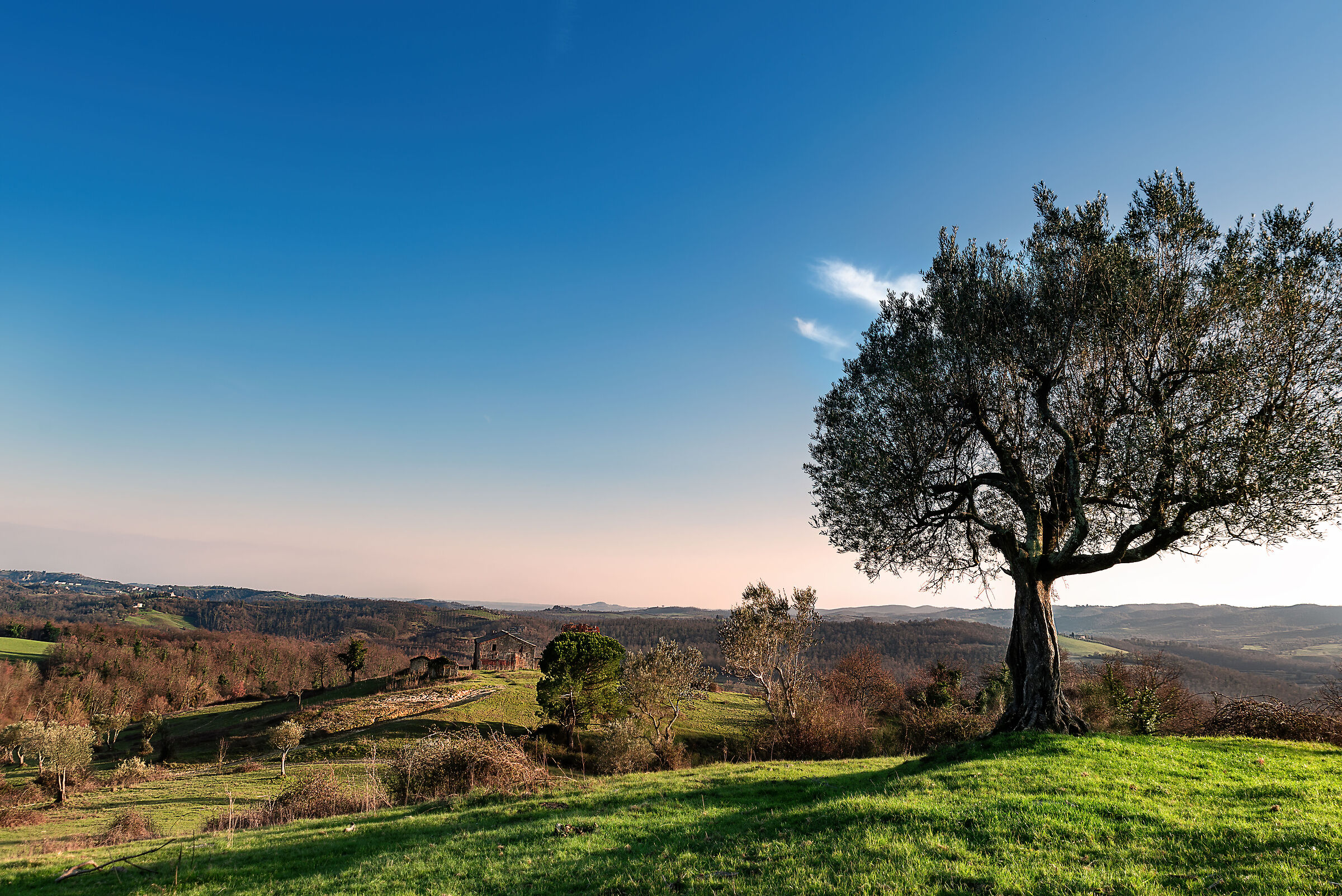 alle prese con una verde milonga