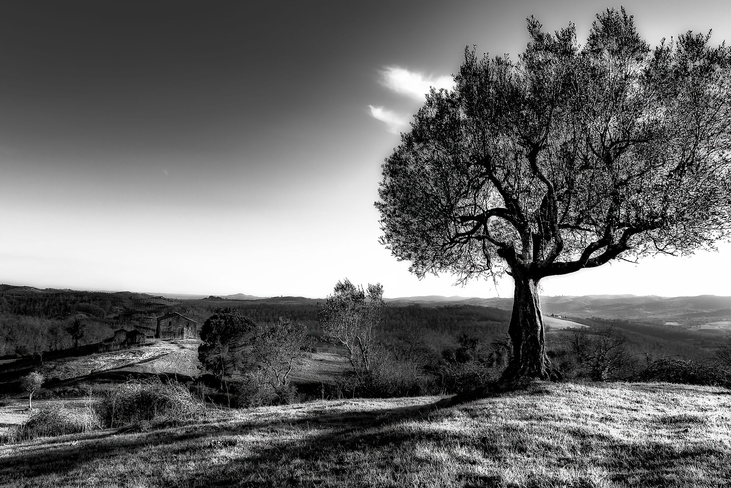 versione bianco nero