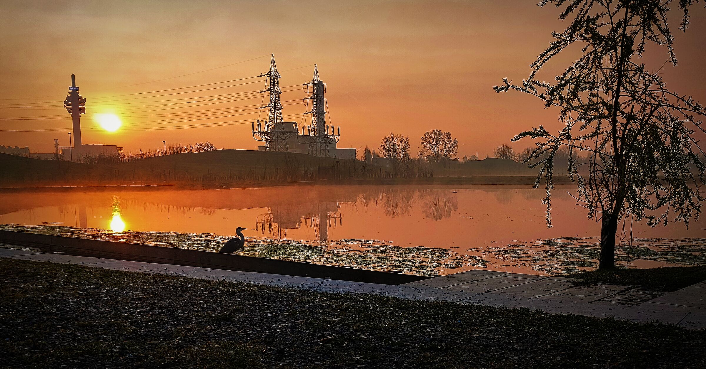Sunrise