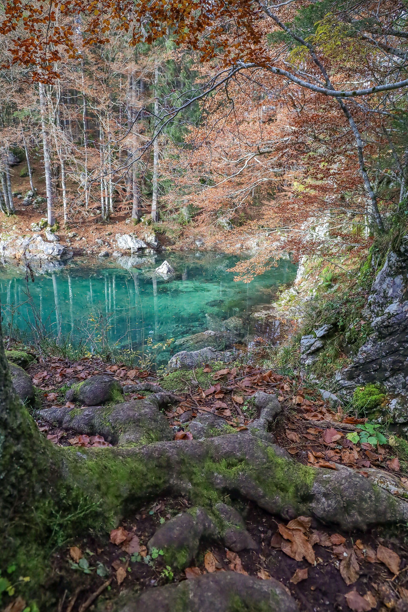 Emerald
