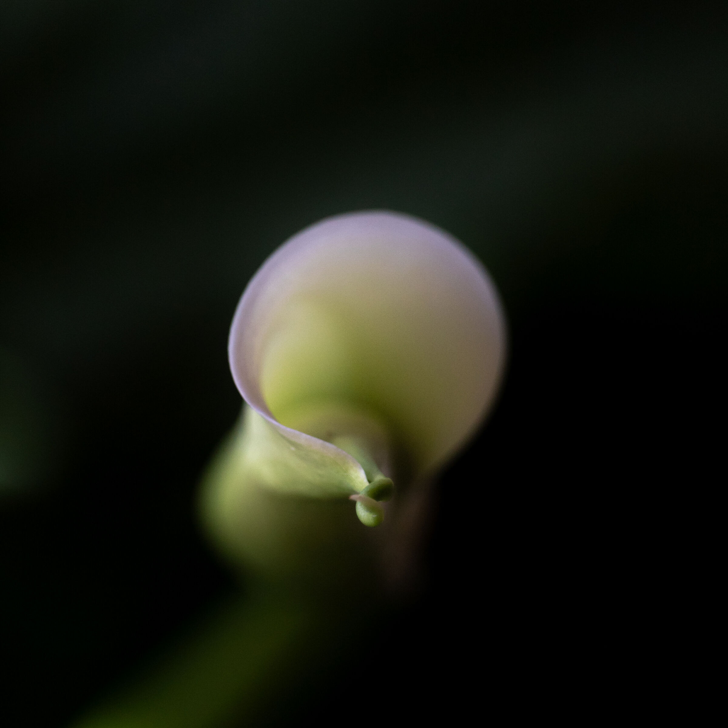 Untitled Photo