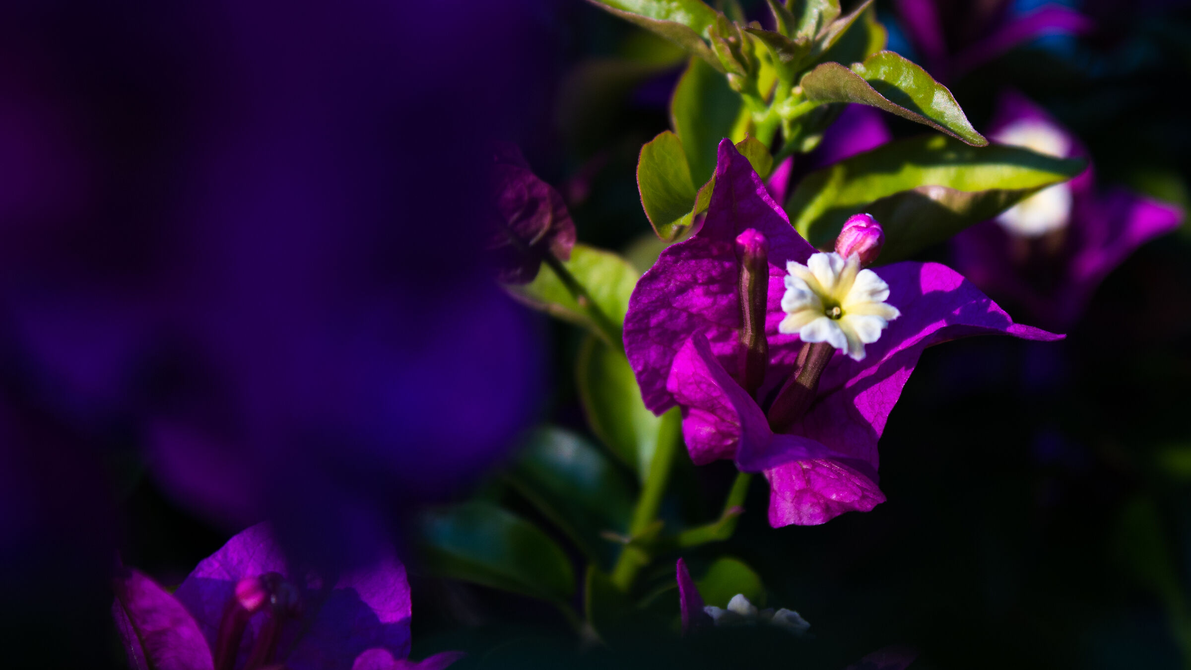 Untitled Photo