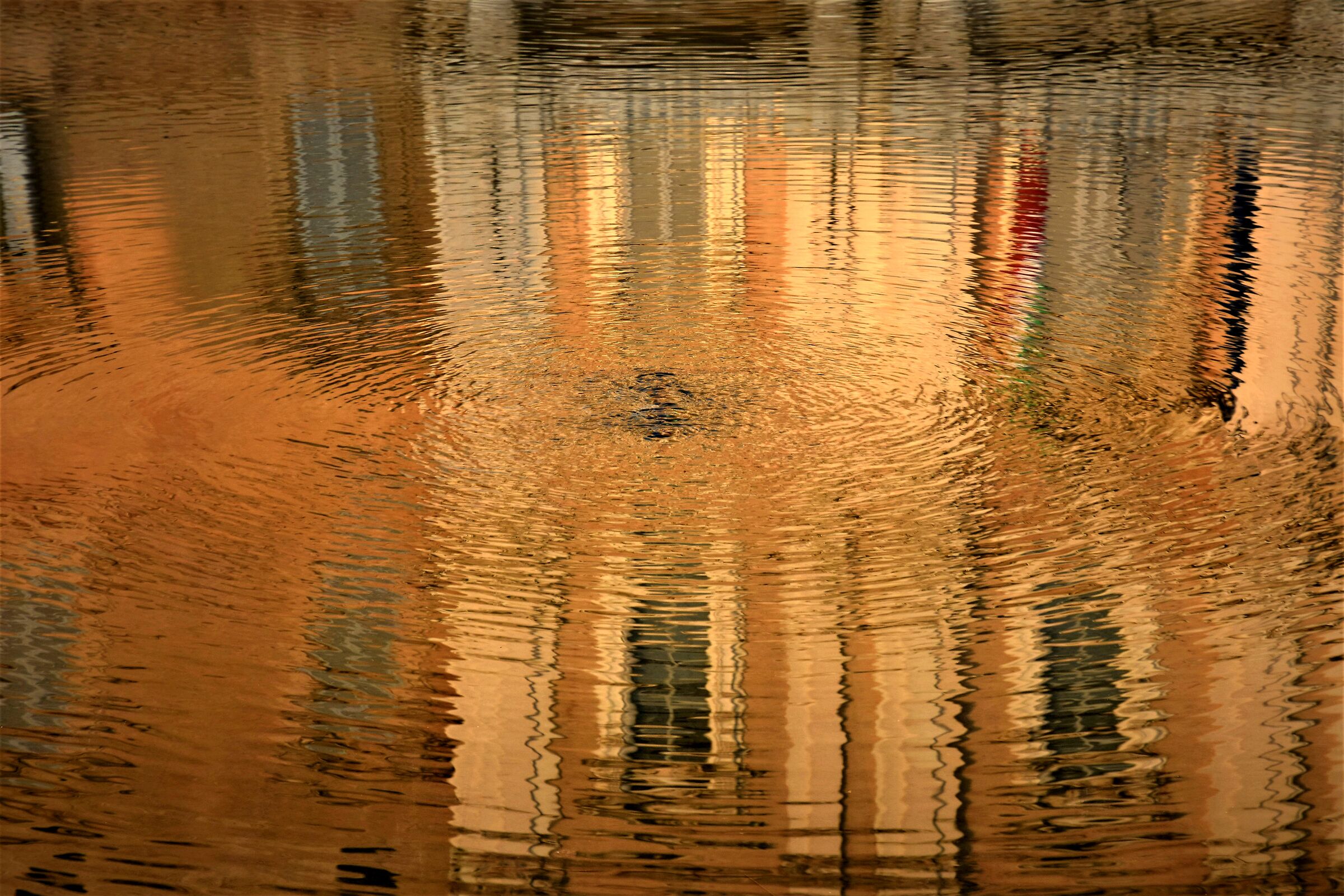 un riflesso.. ducale