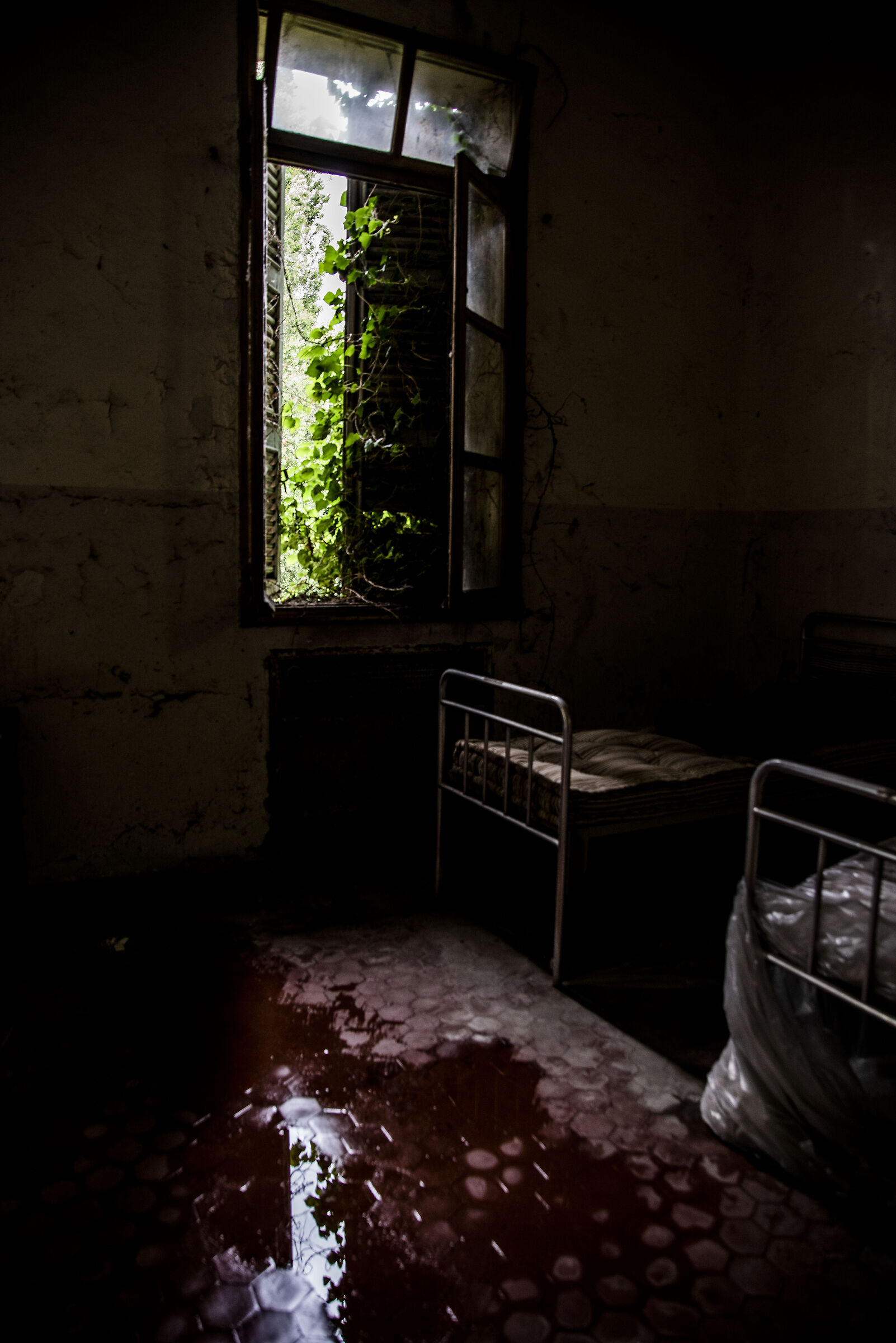 Asylum Urbex