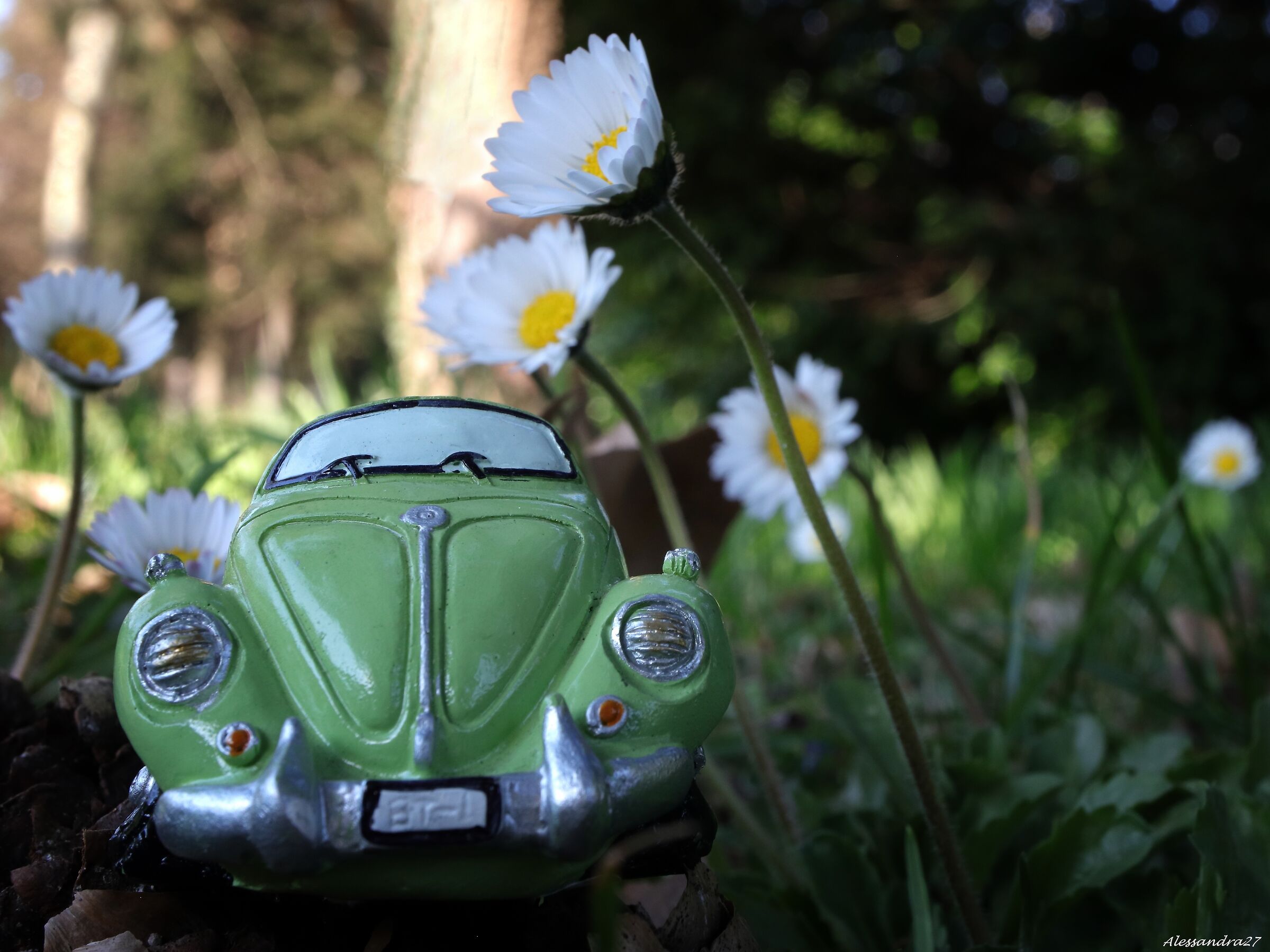 ... aspettando la zona verde .. bianca non mi basta !!