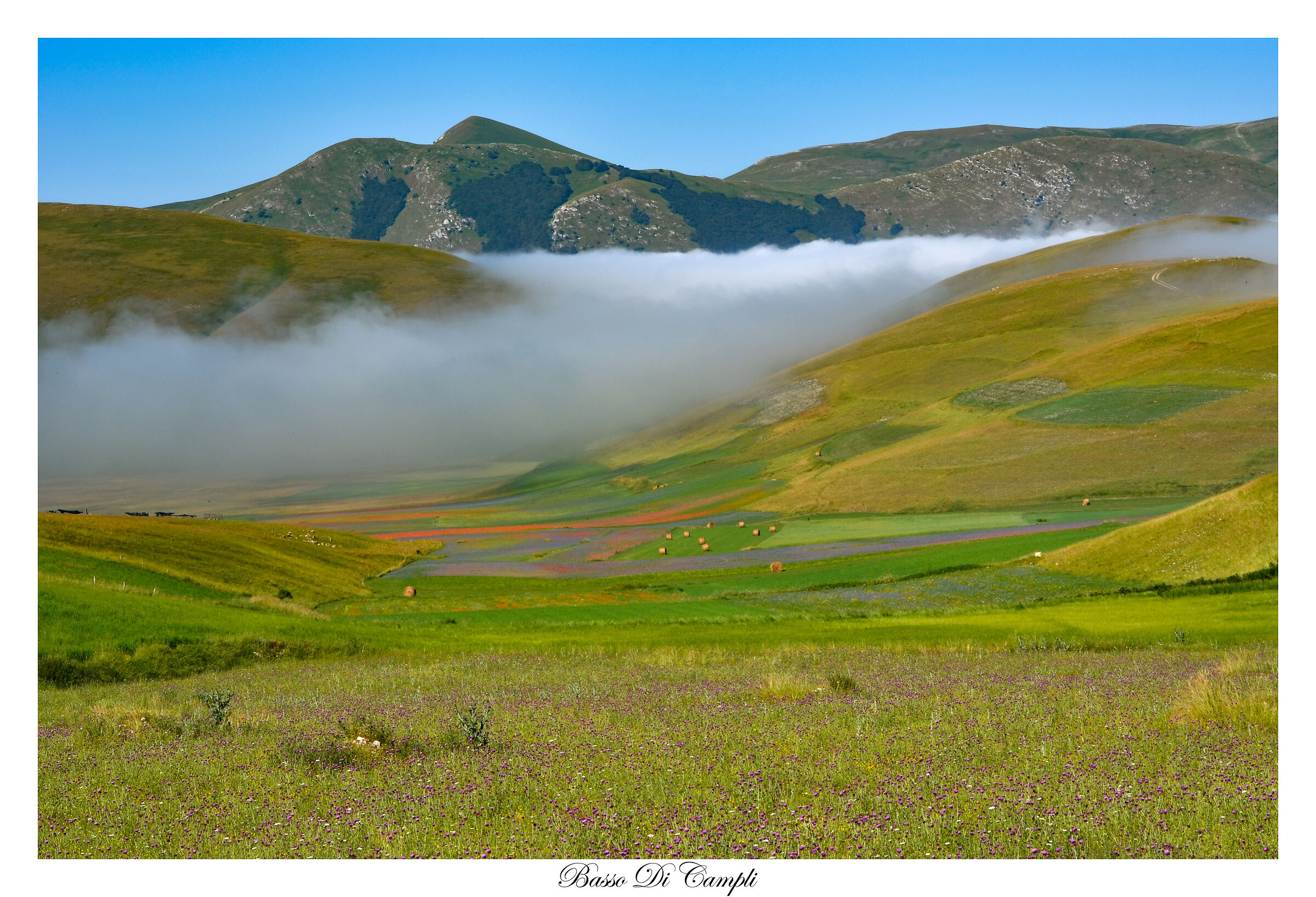 Colori nascosti