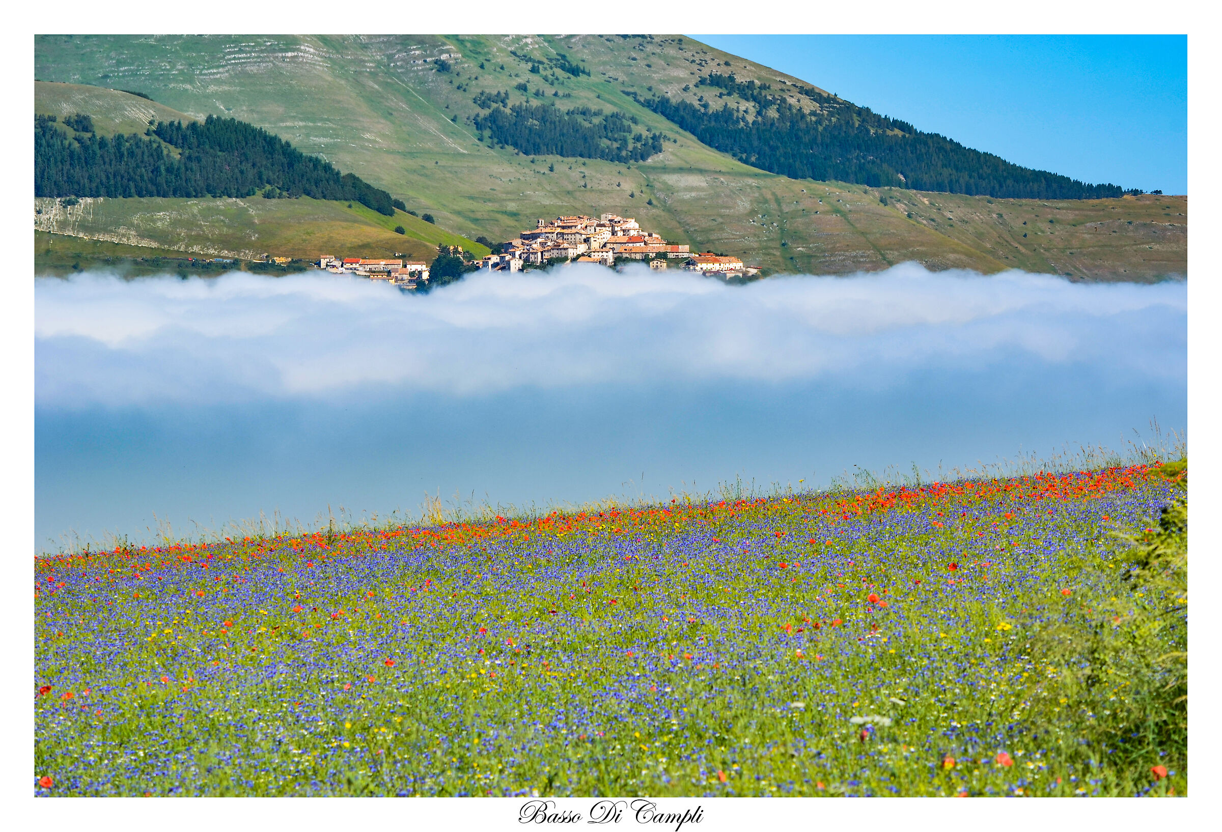 Sopra la nebbia