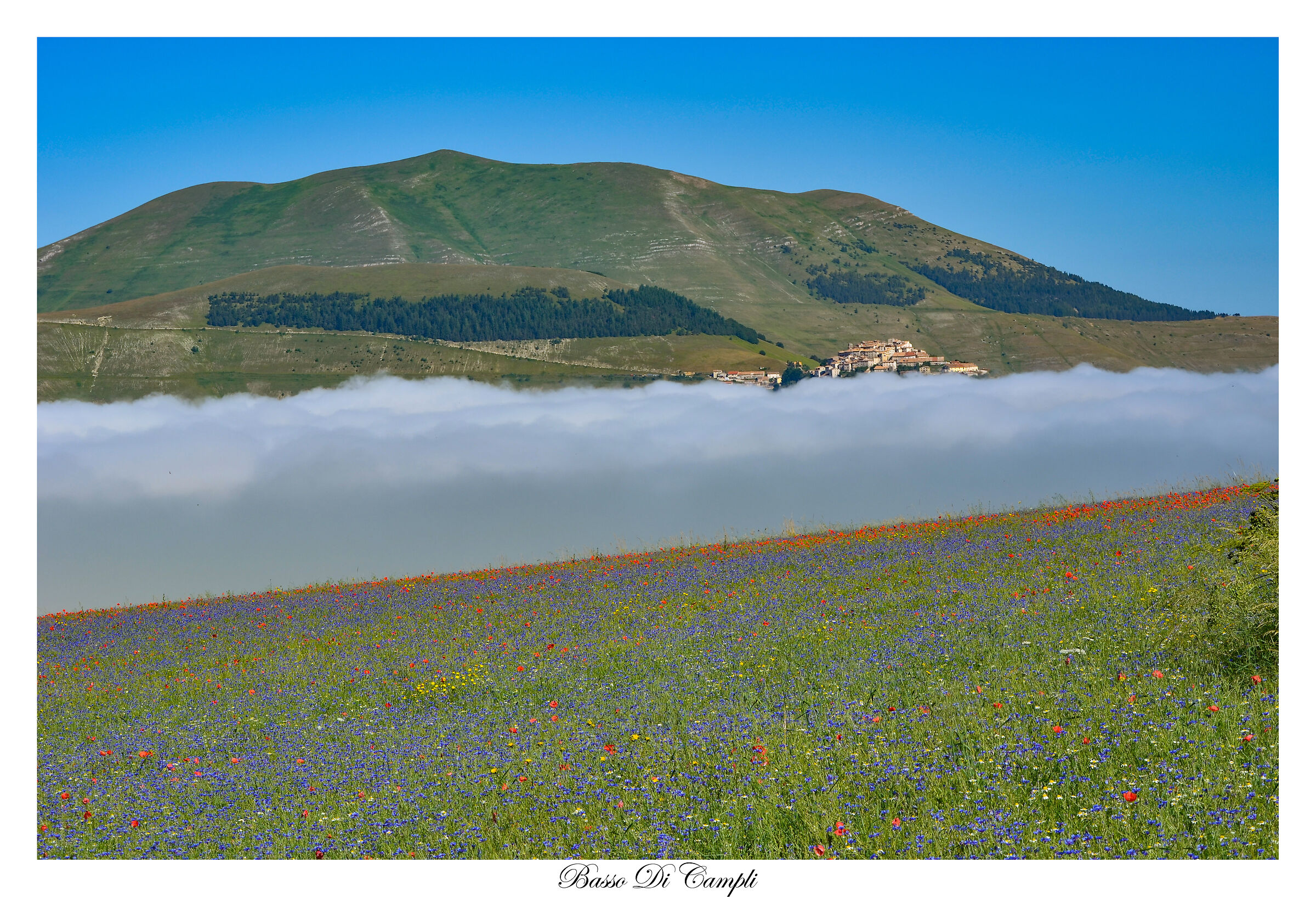 Fuori la nebbia