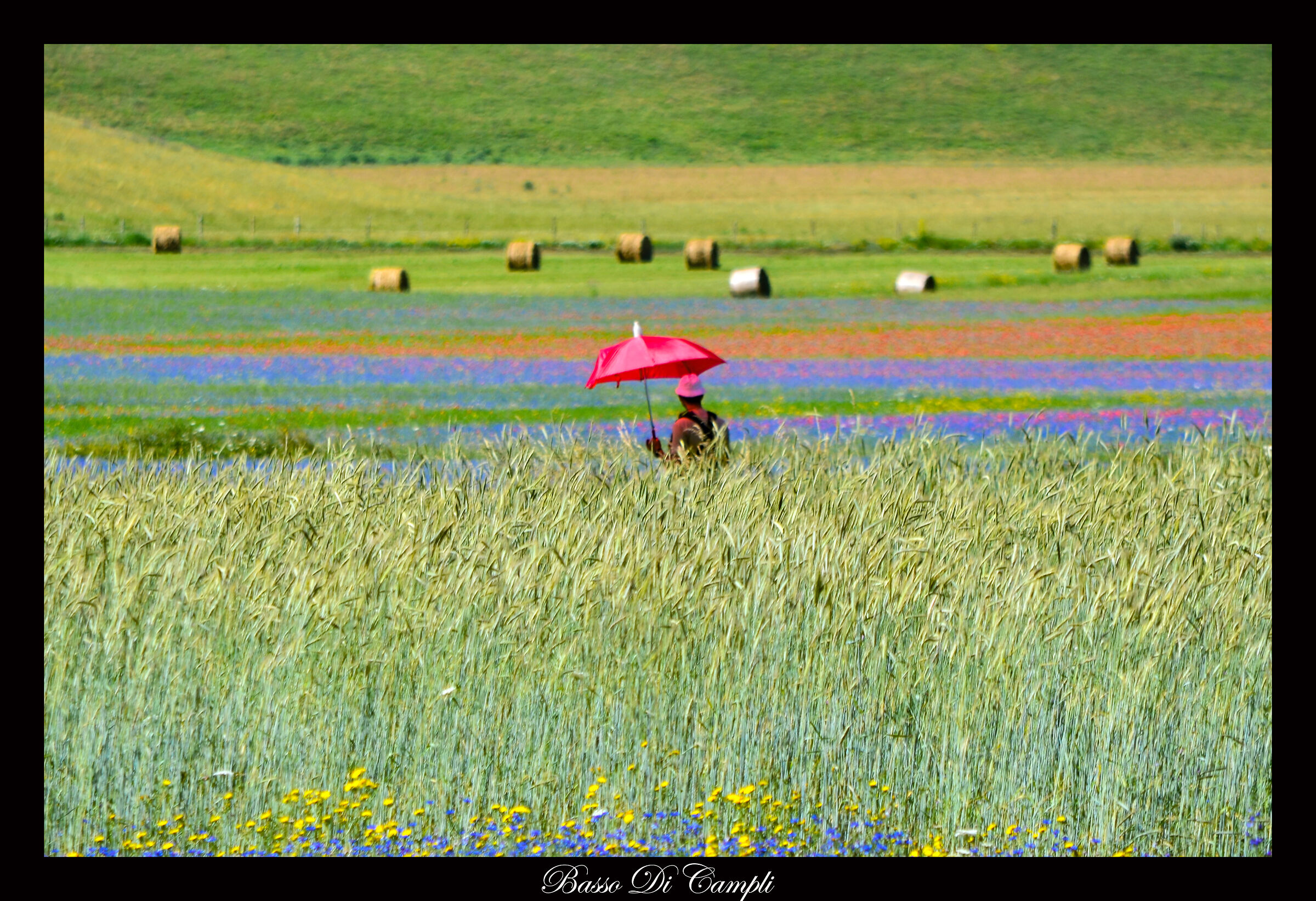 Ombrello rosso