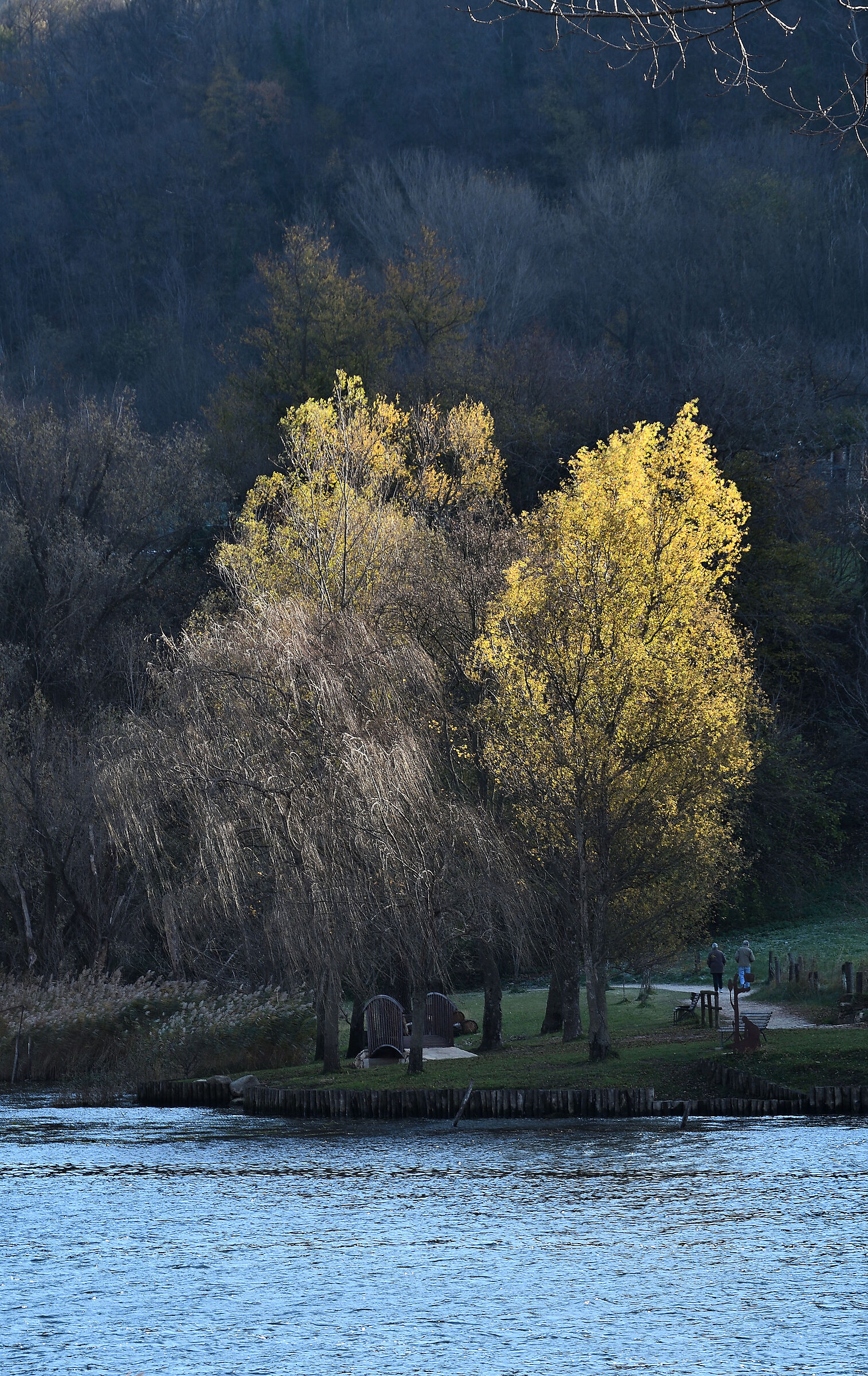 Luce di fine autunno