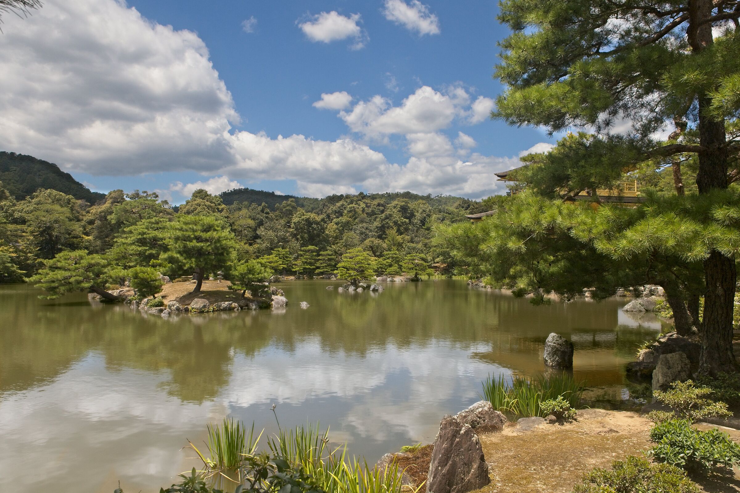 Golden garden, London