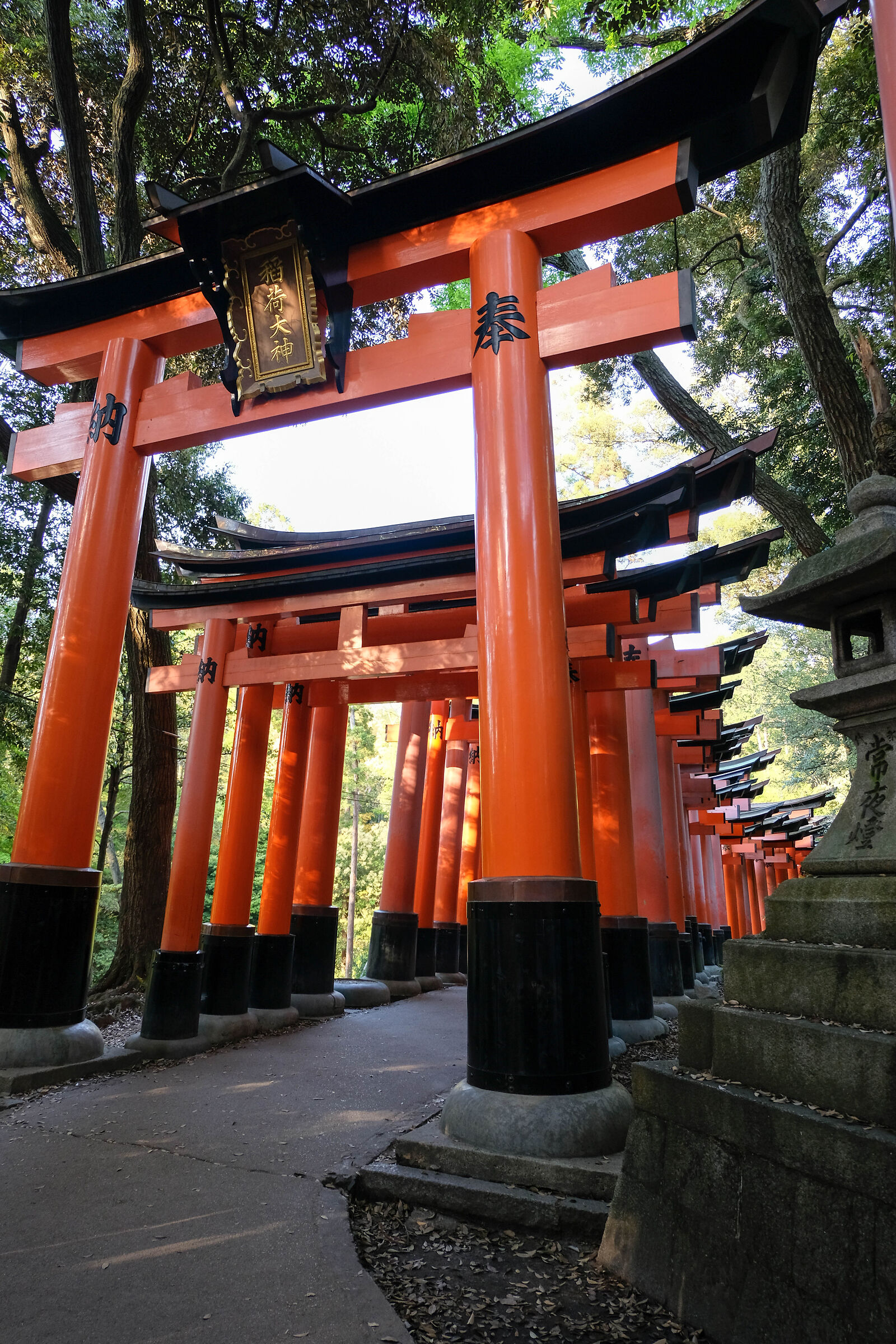 Dear Traveling - Japan 2