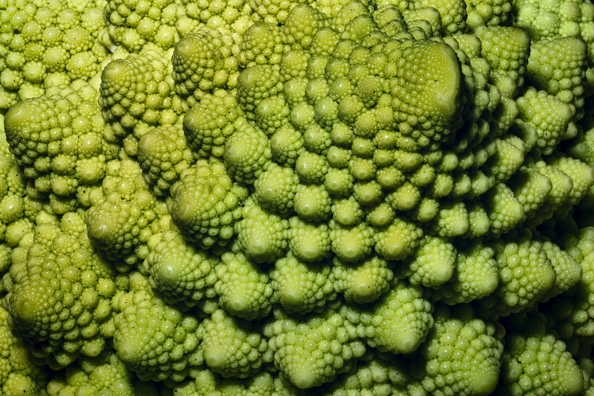 Romanesque broccoli