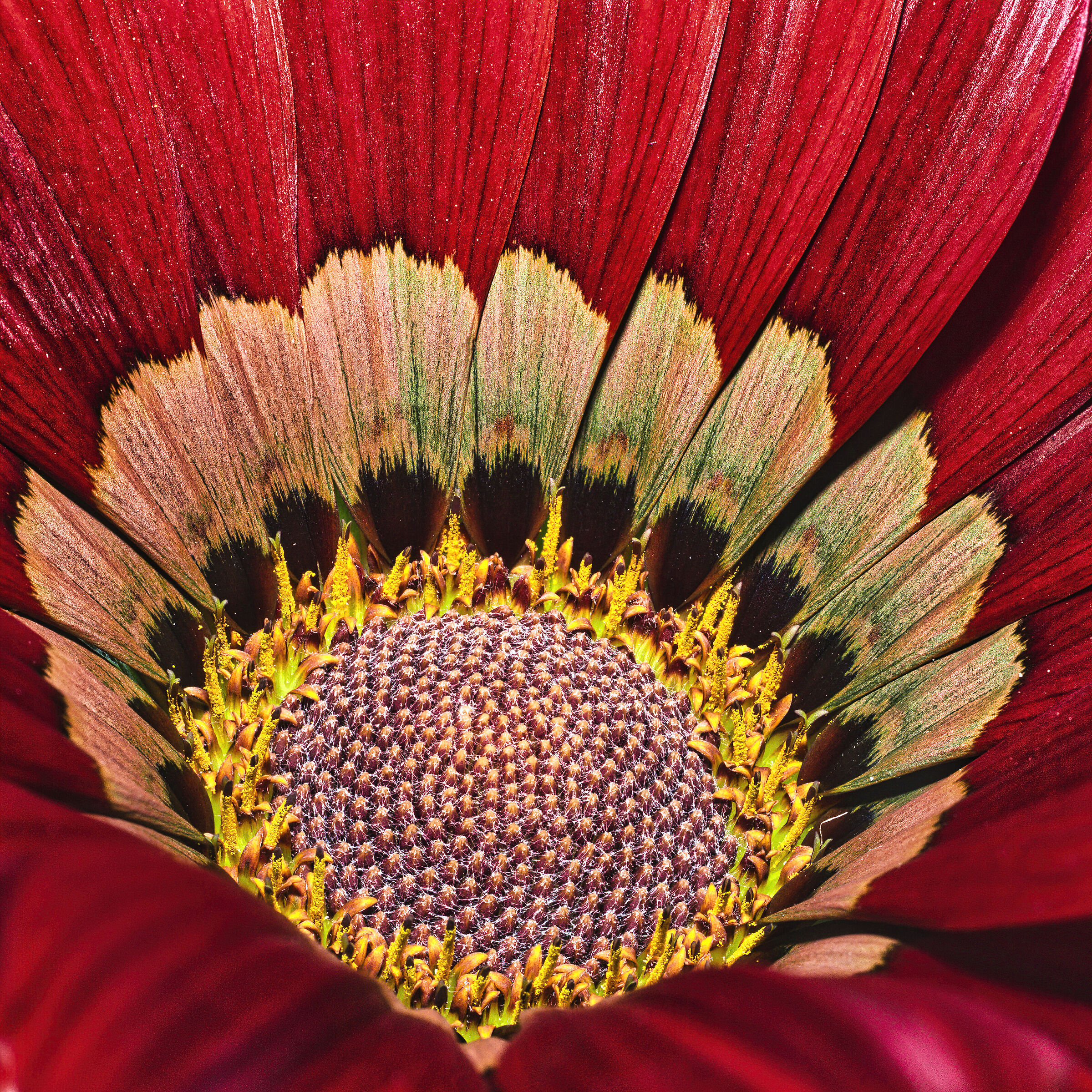 Spring tinges