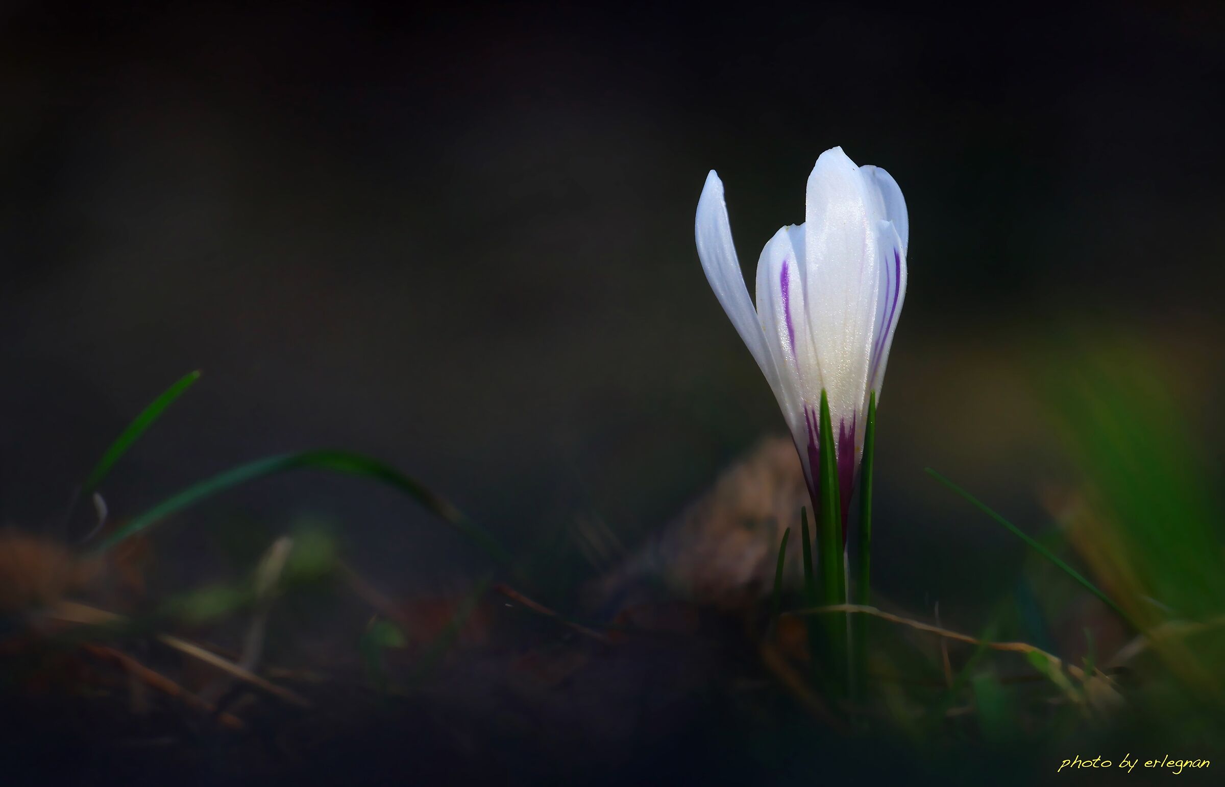 Untitled Photo
