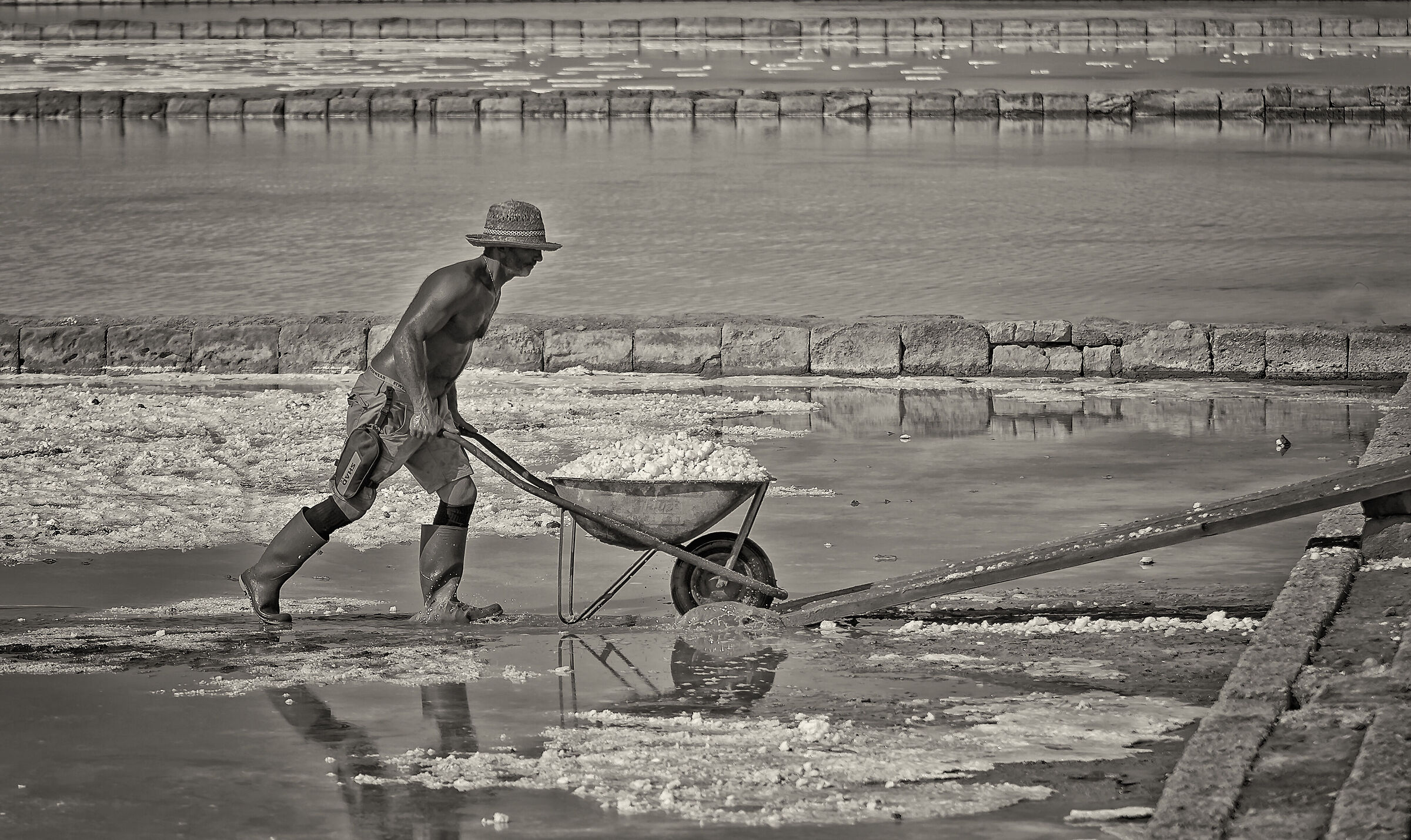 Il saliniere b/n