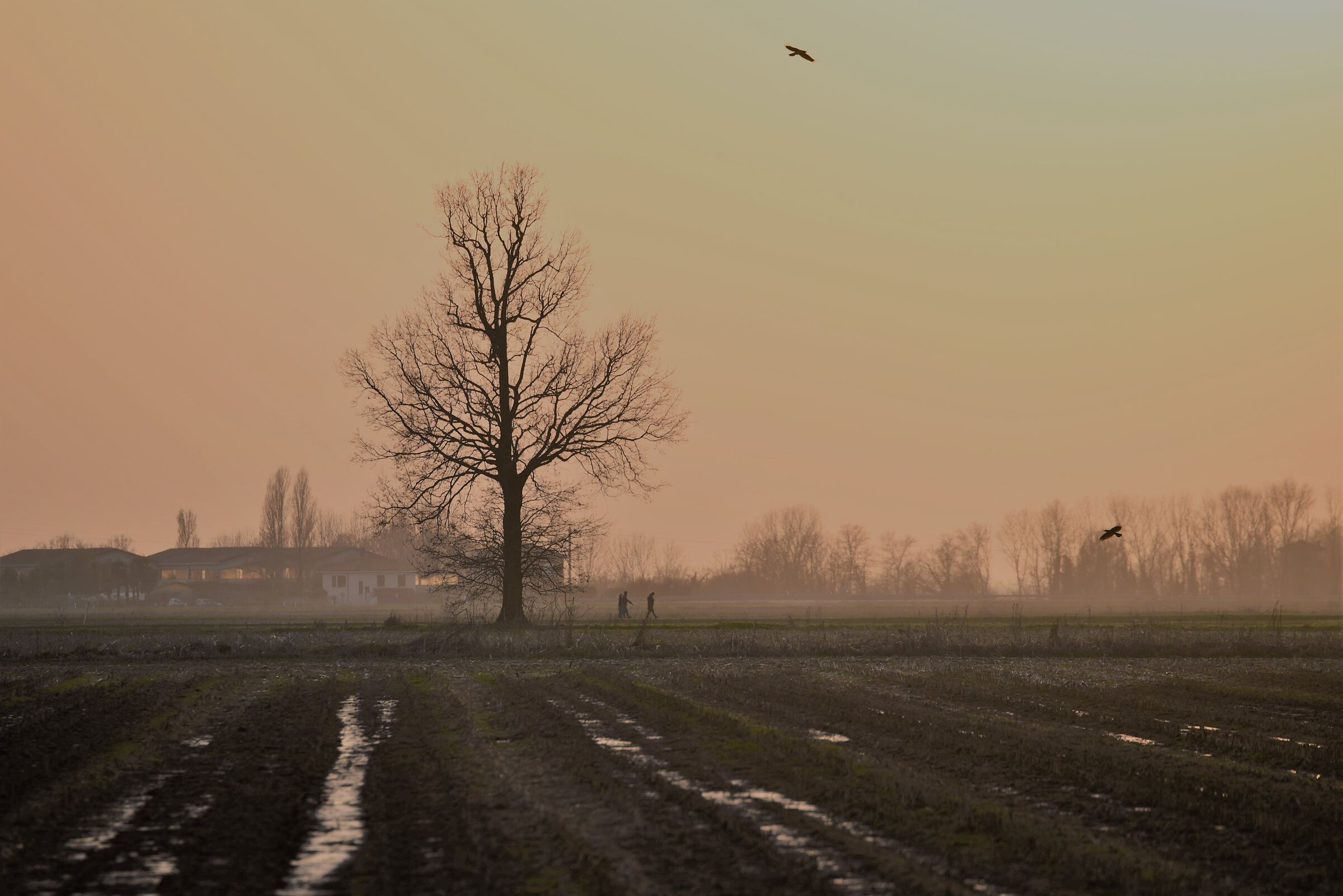 pianura tardo invernale