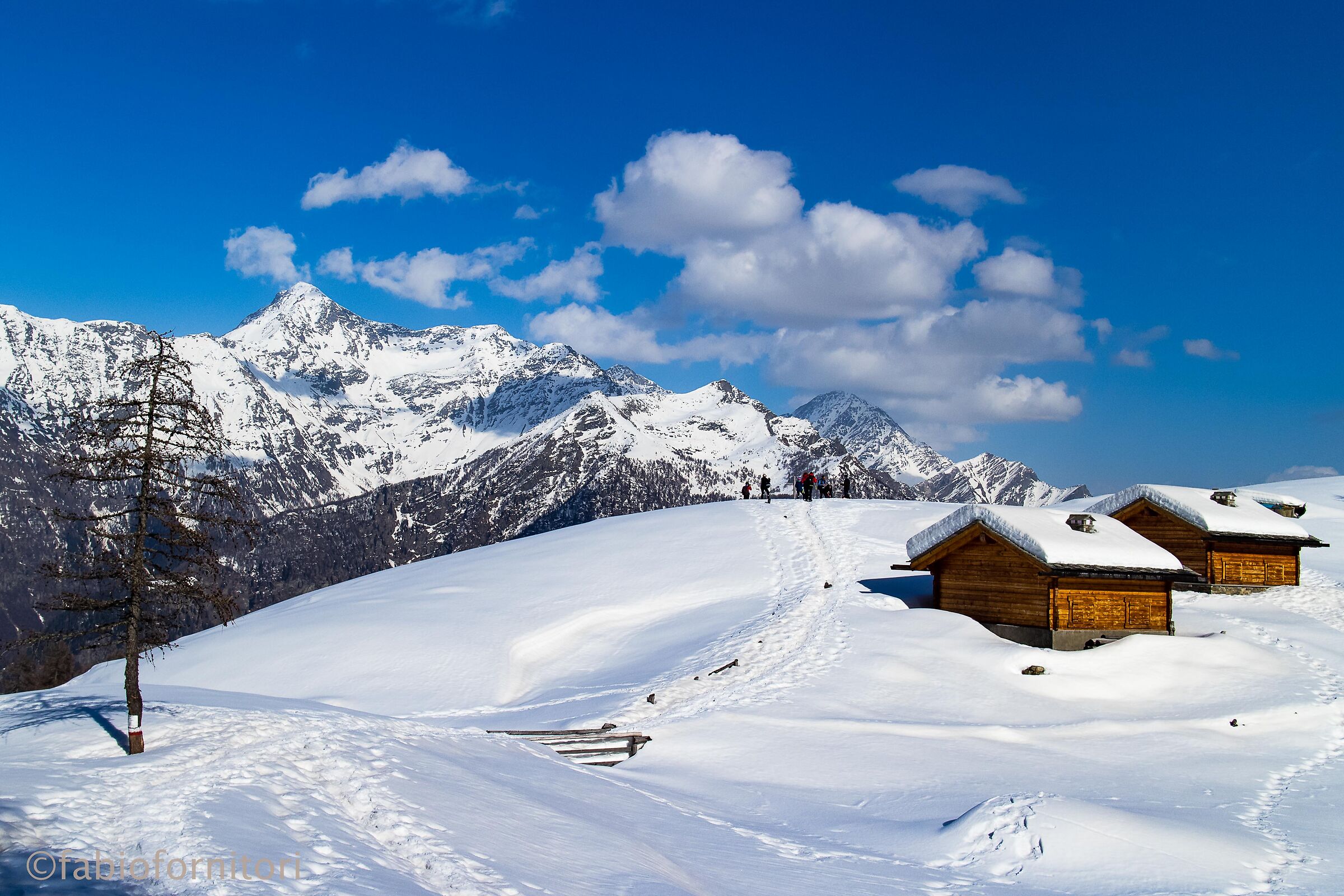 Alpe Lendine , Chiavenna 2021