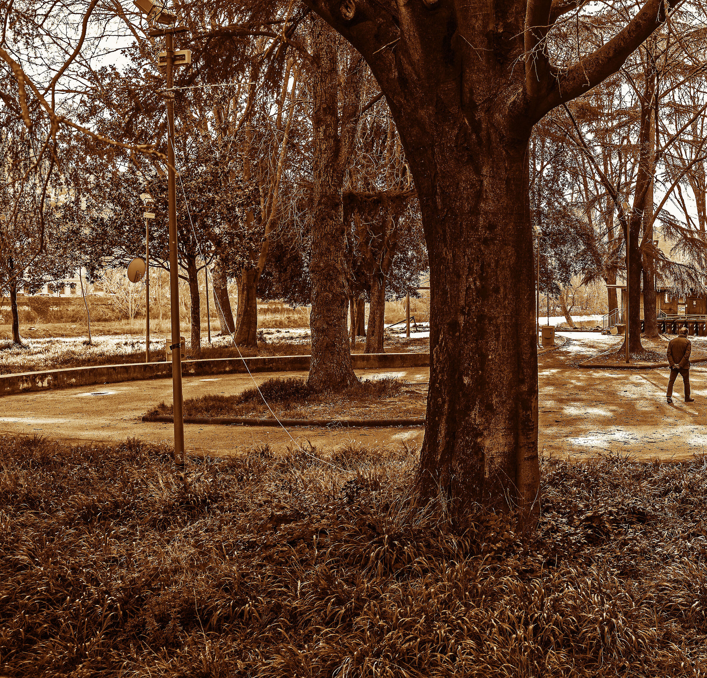 Giardino della solitudine