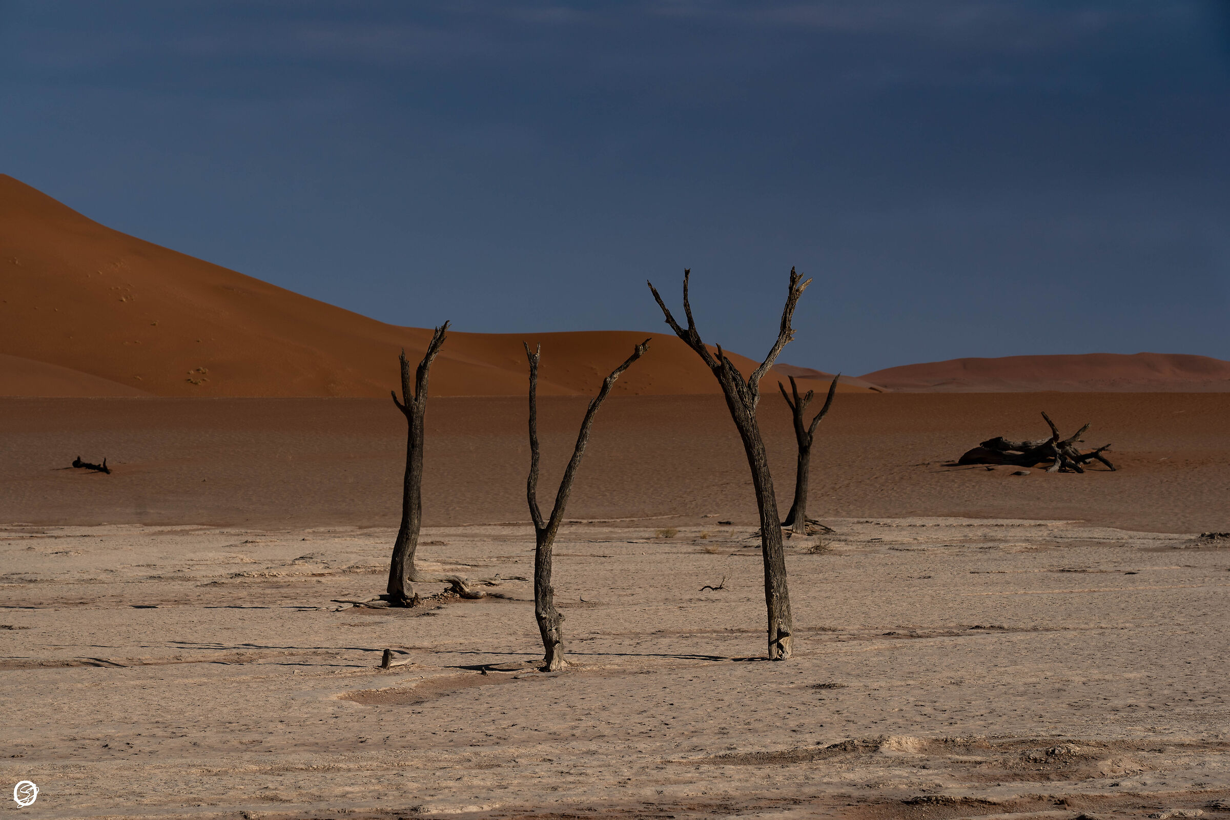 Suggestioni metafisiche