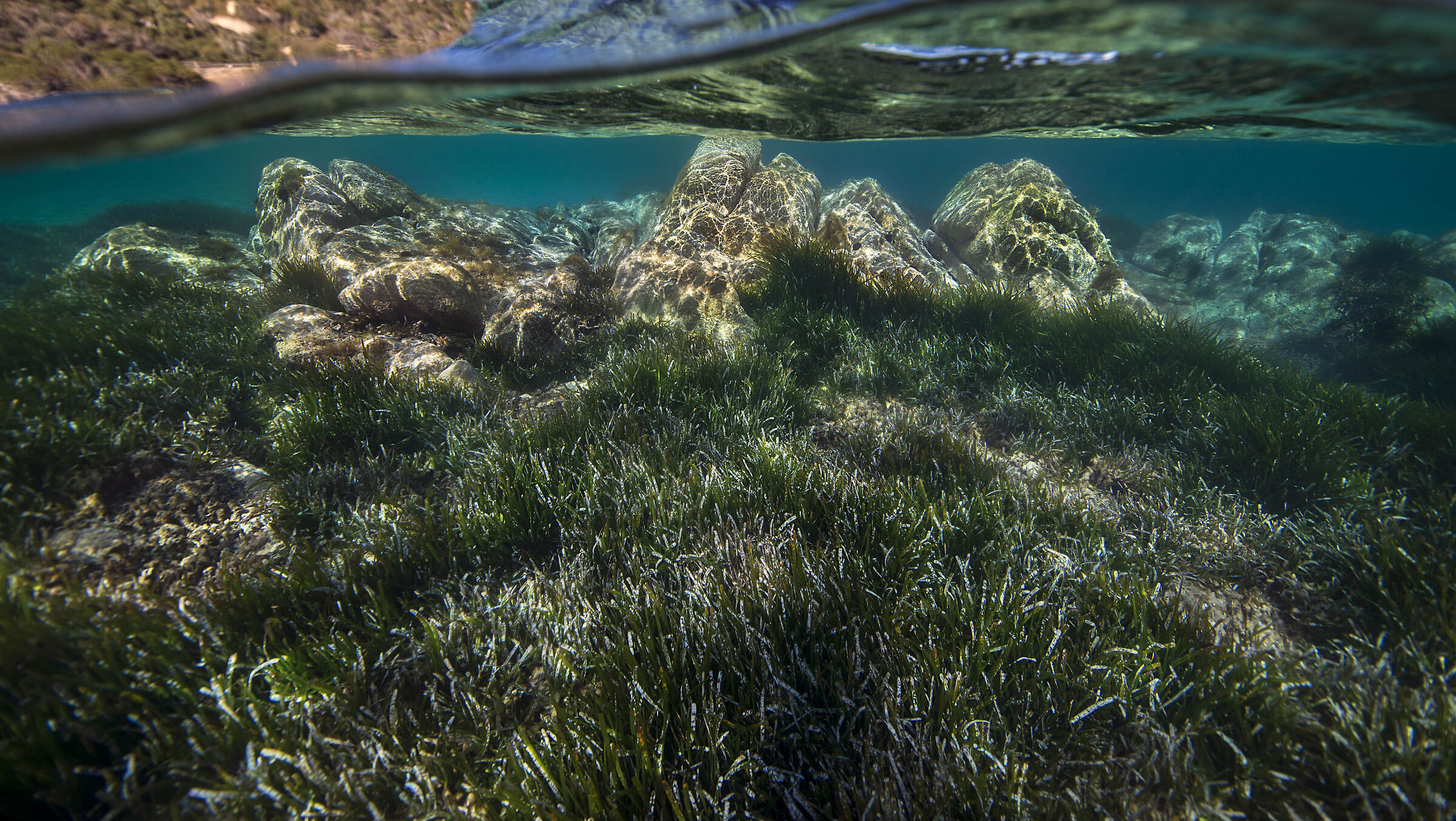 Spalmatore mon amour!!