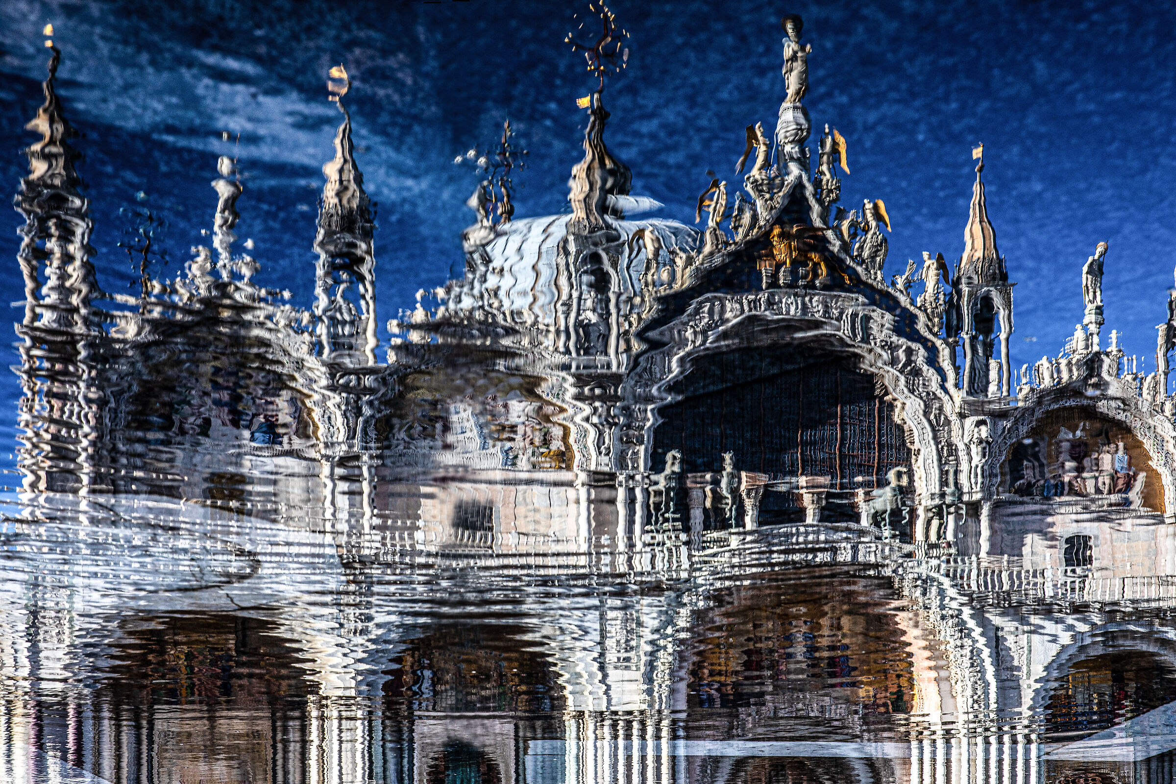 Una pozzanghera racconta ....