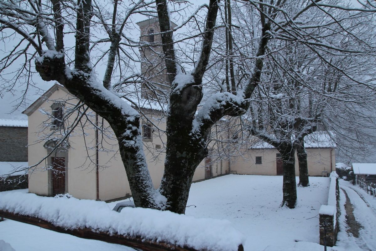 Prima neve, Ronta (Firenze)