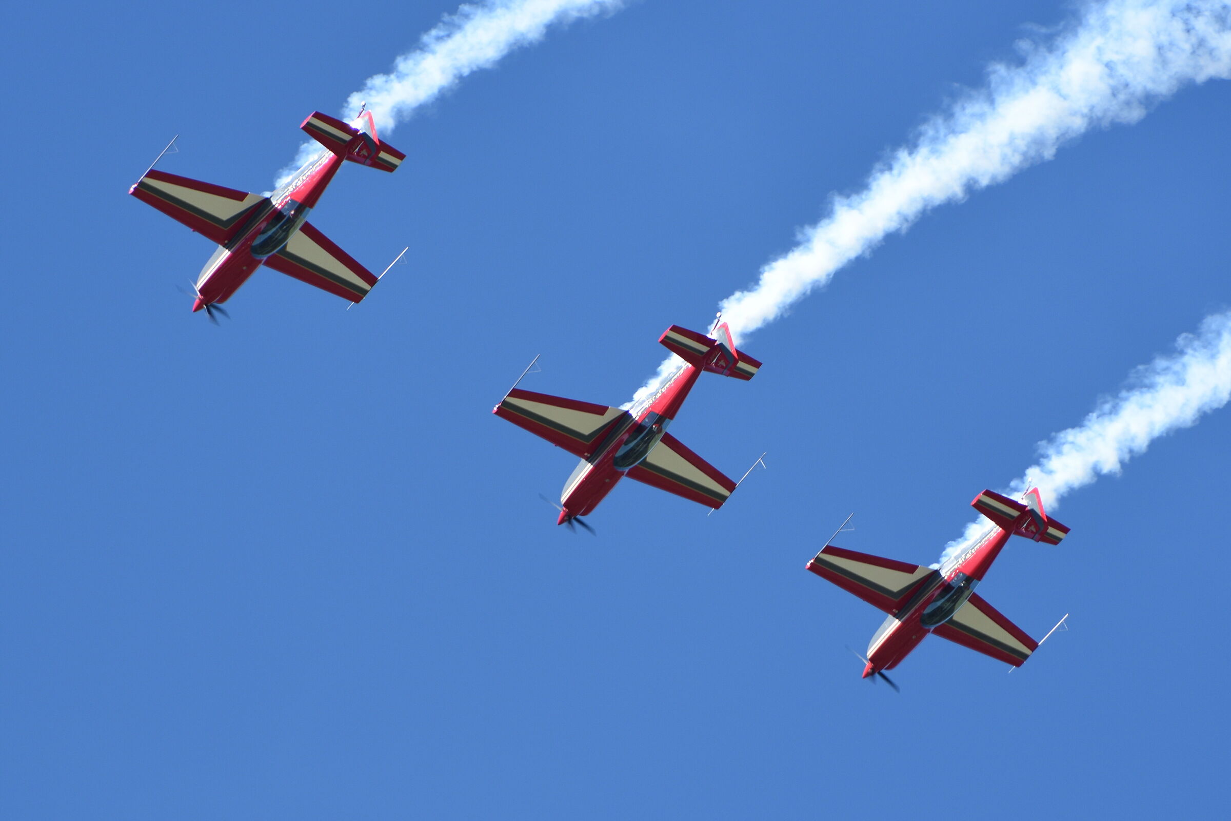 Royal Jordanian Falcons