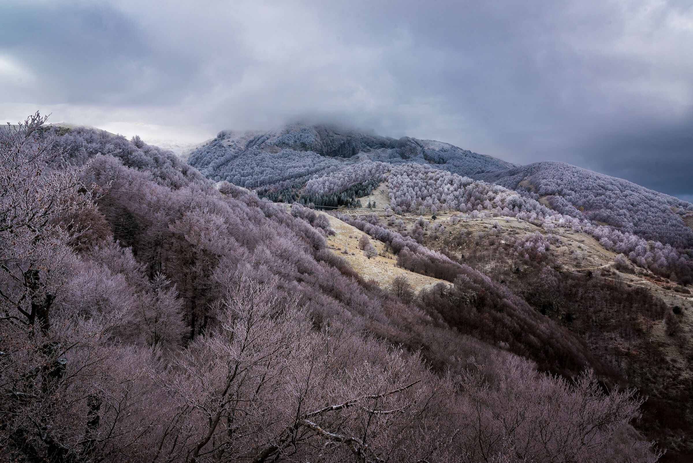 Quando la neve incontra i colori dell'autunno