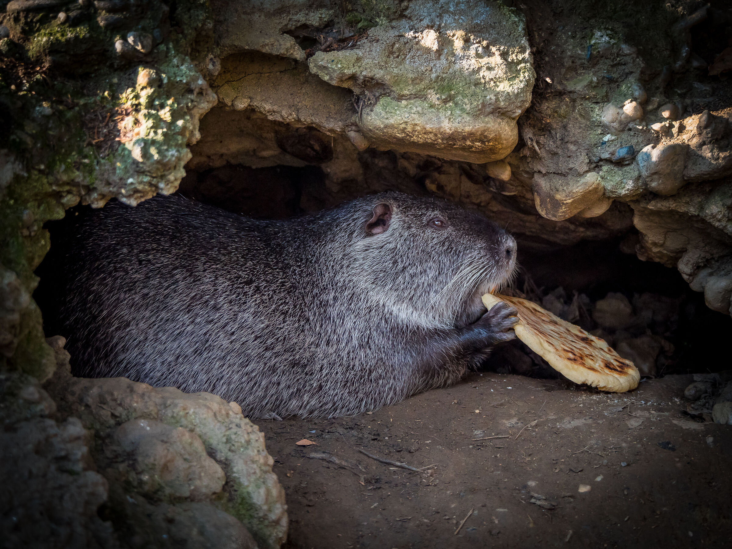 Si mangia a casa.......