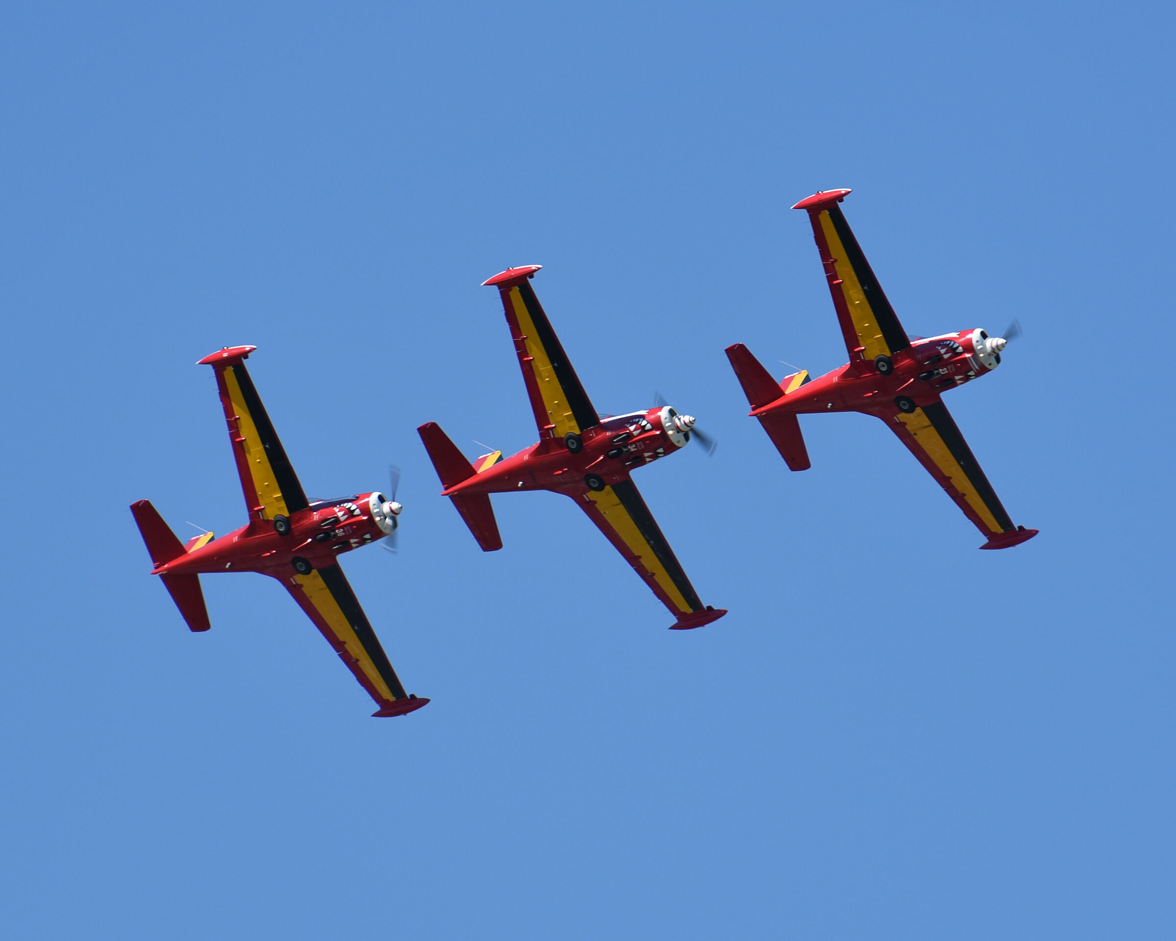 Belgian Aerobatic Patrol - RED DEVILS