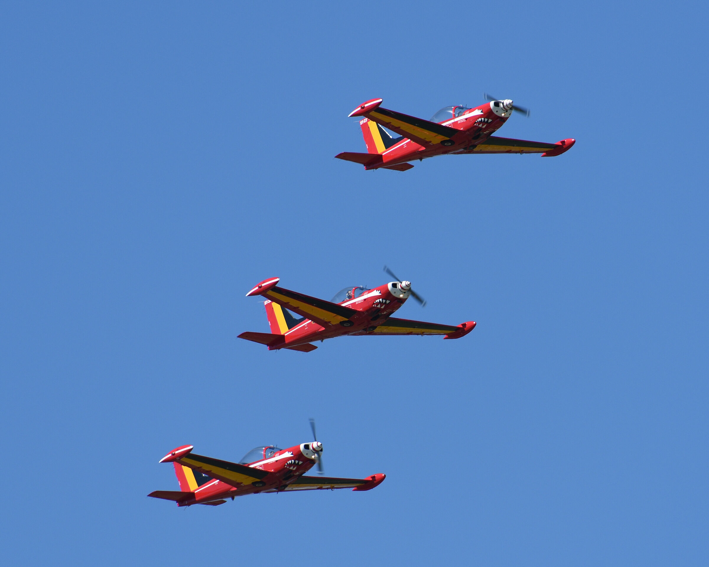 Belgian Aerobatic Patrol - RED DEVILS