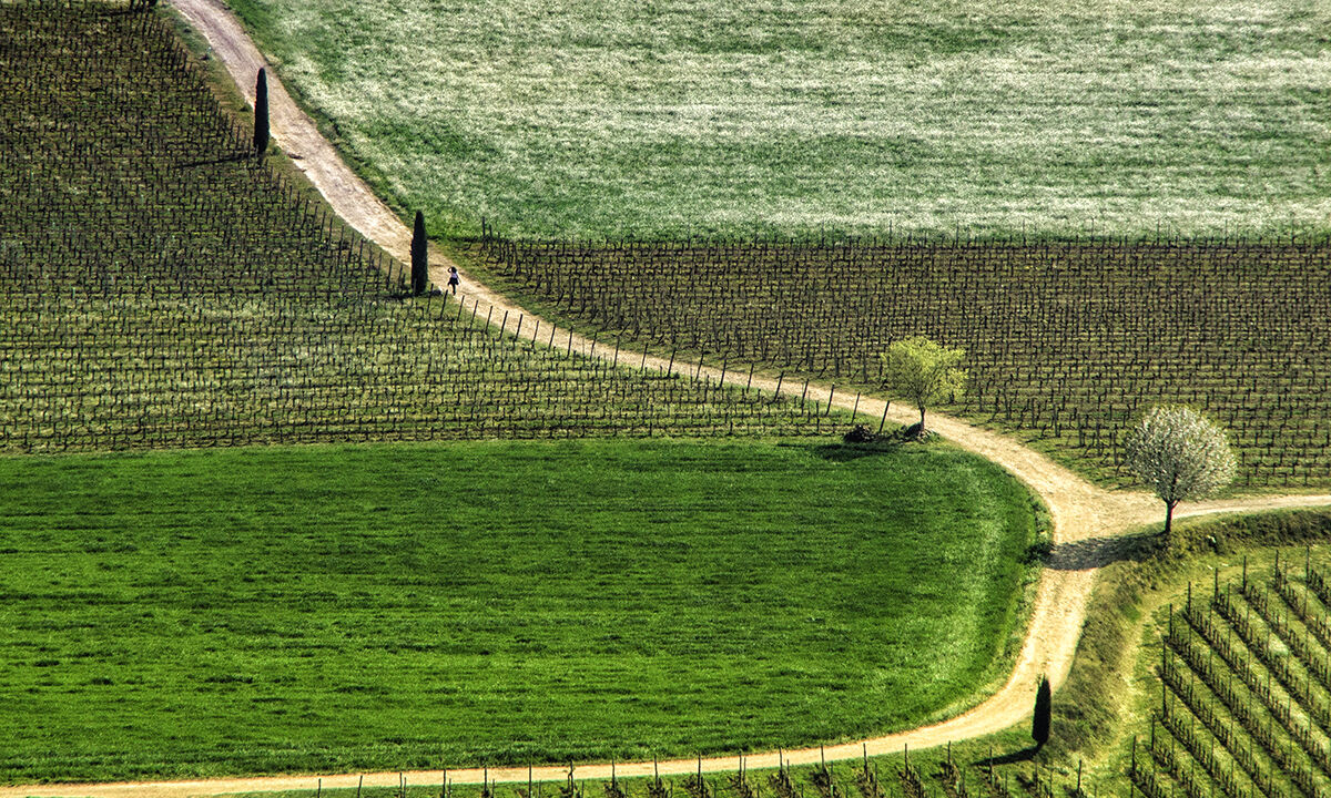 Primavera in Franciacorta