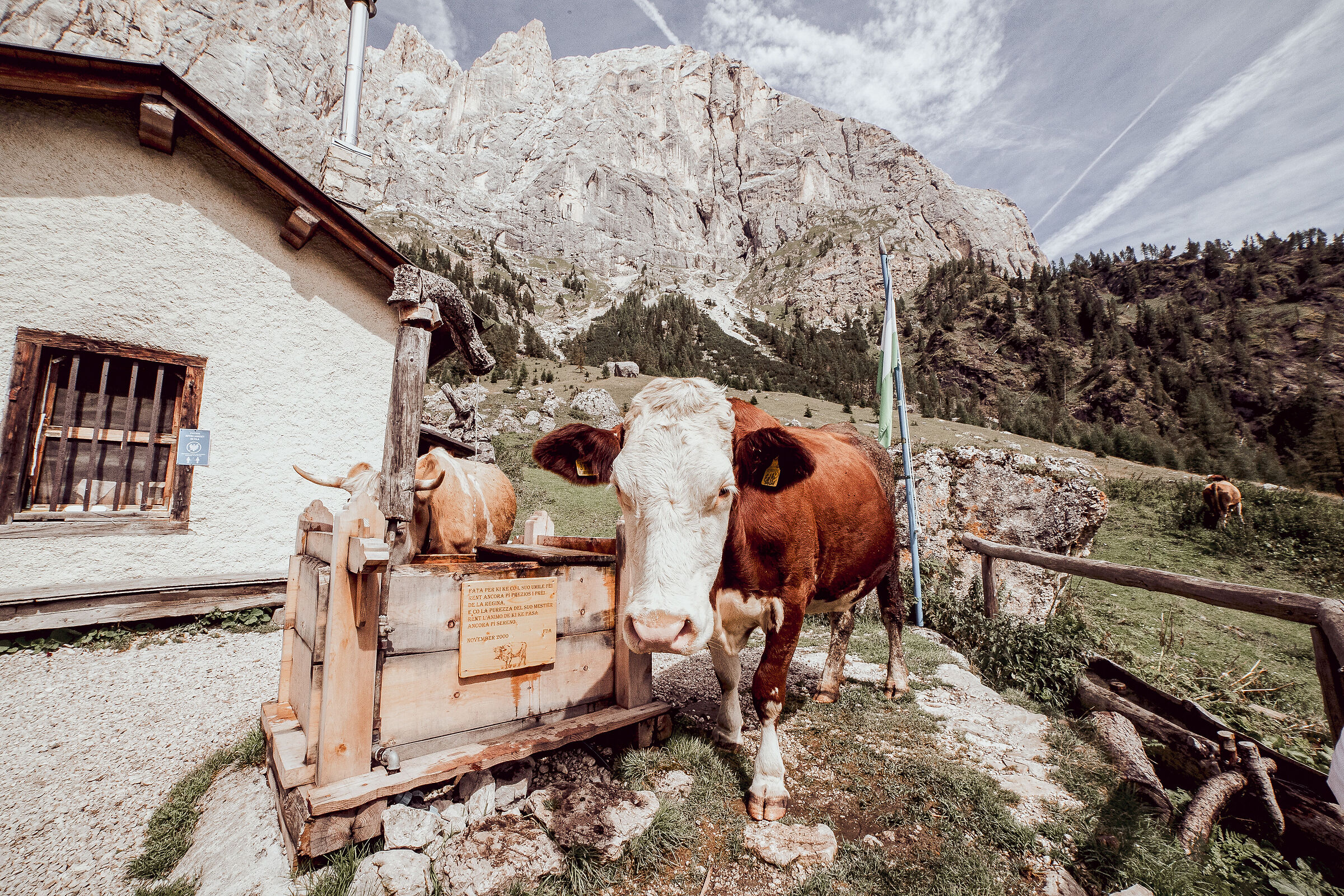 Malga Ombretta - Marmolada