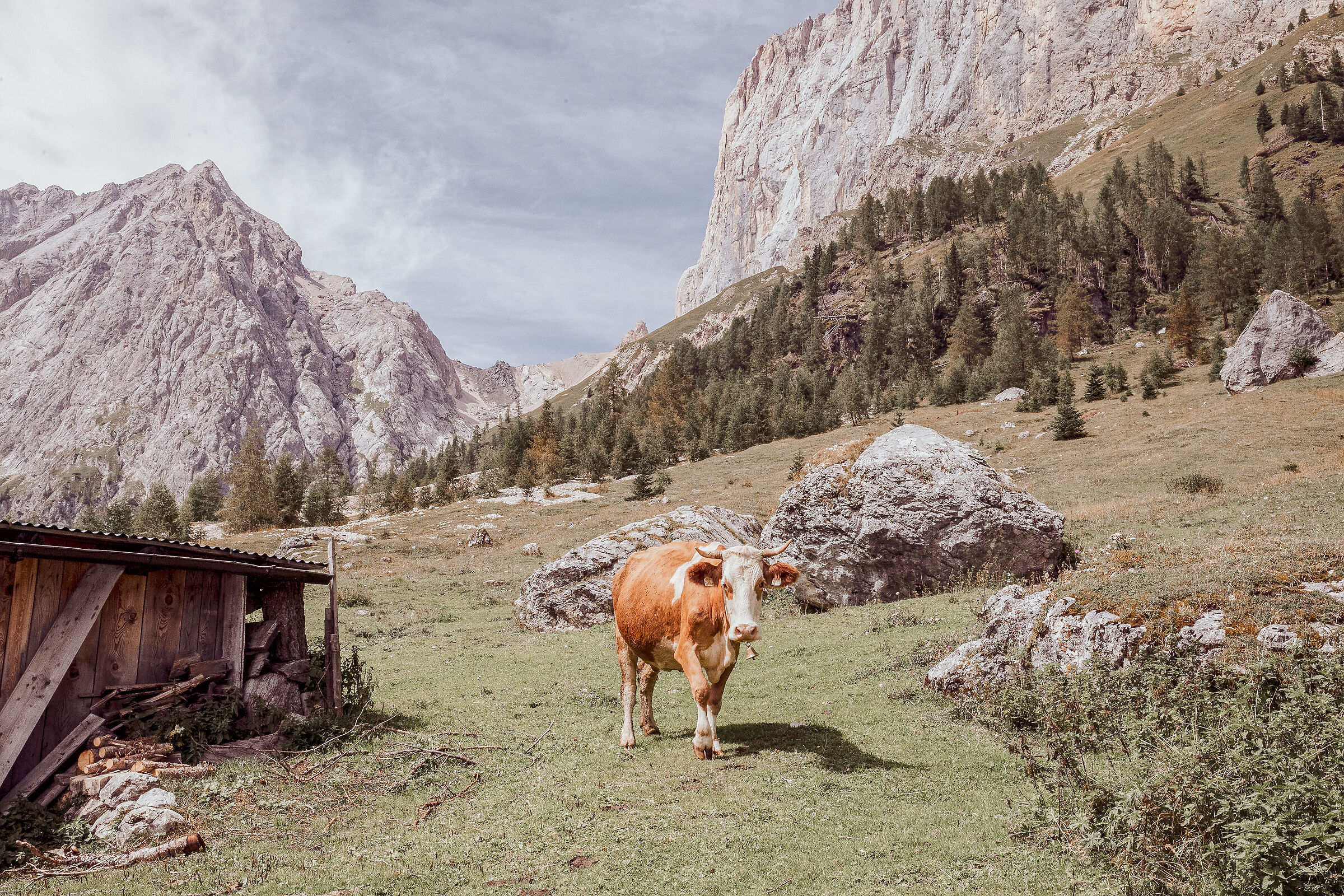 Malga Ombretta - Marmolada