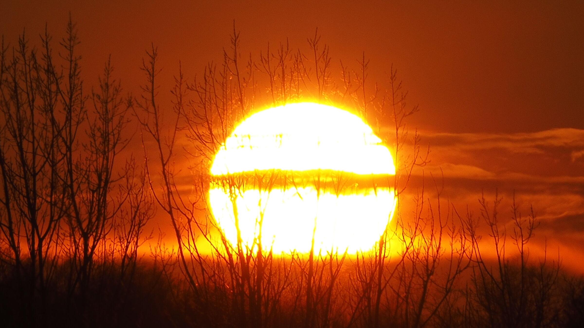 The Majestic Sun