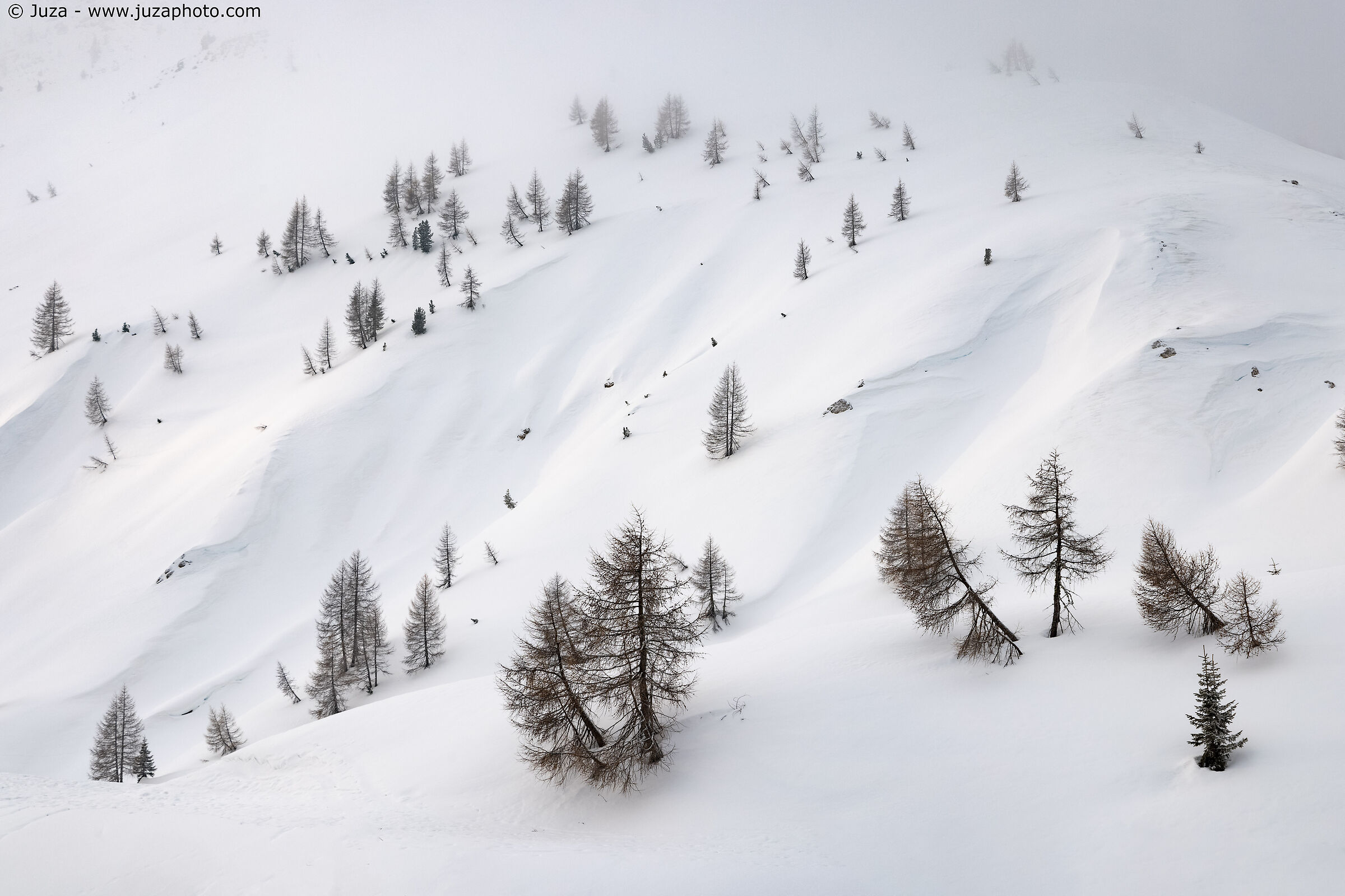 Il Passo Valles in inverno