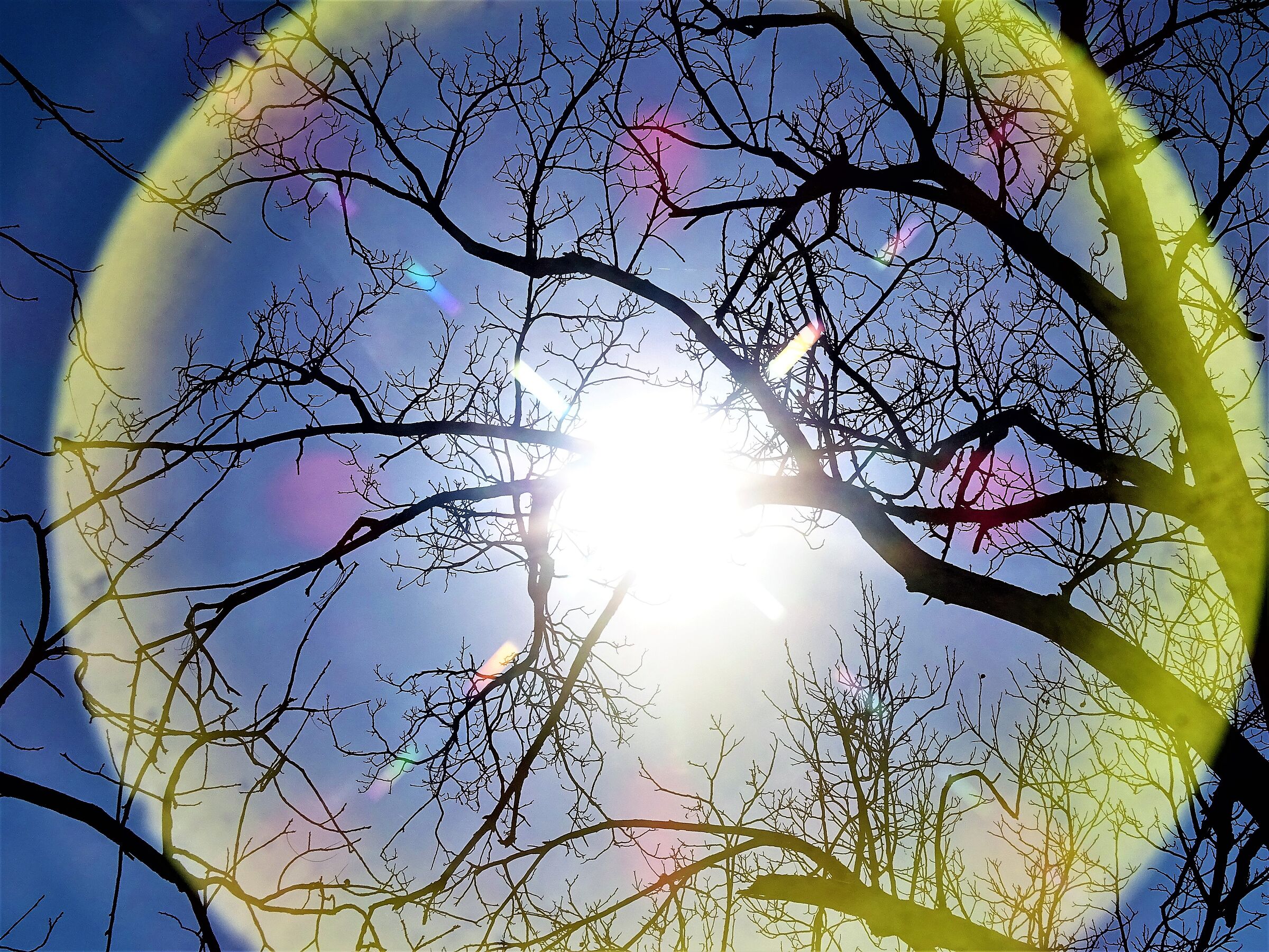 radiant sun..