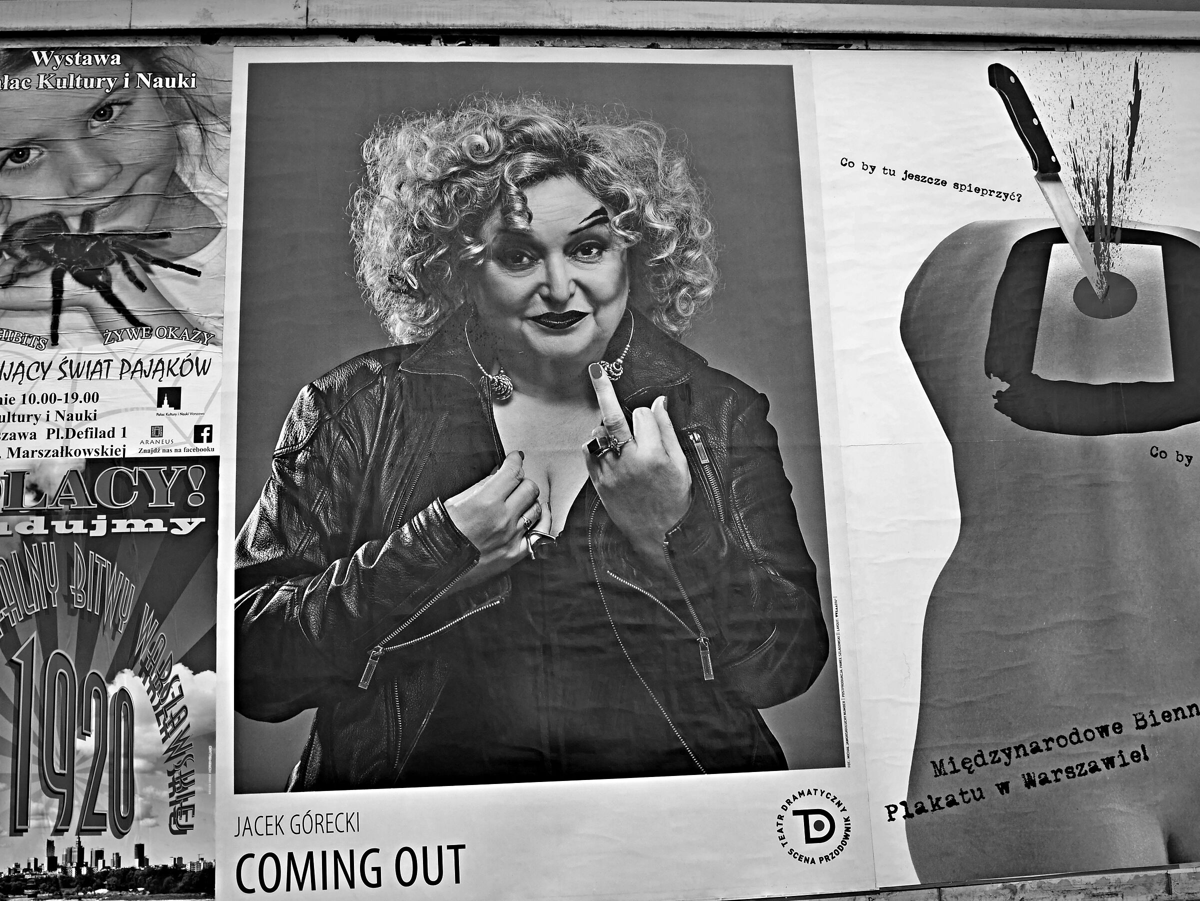 Biennale poster street/internazionale