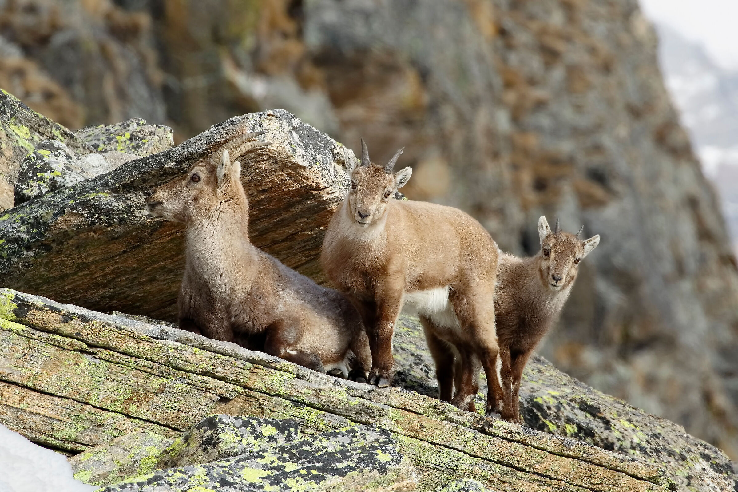 Curious young people