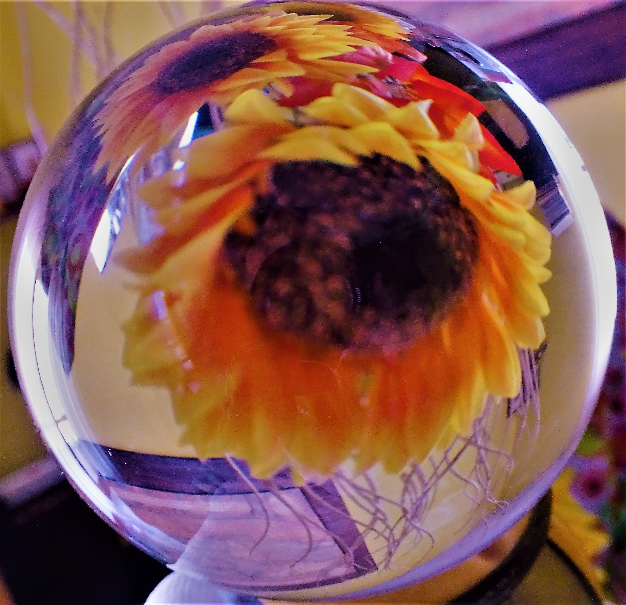 a flower inside a crystal ball...