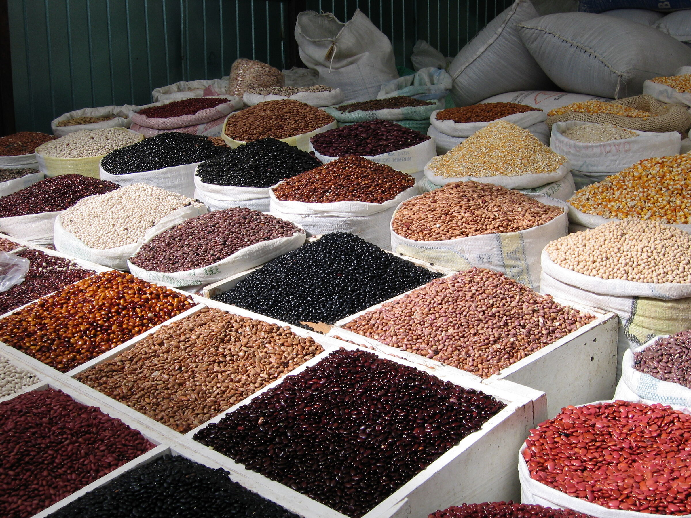 San Cristobal Market