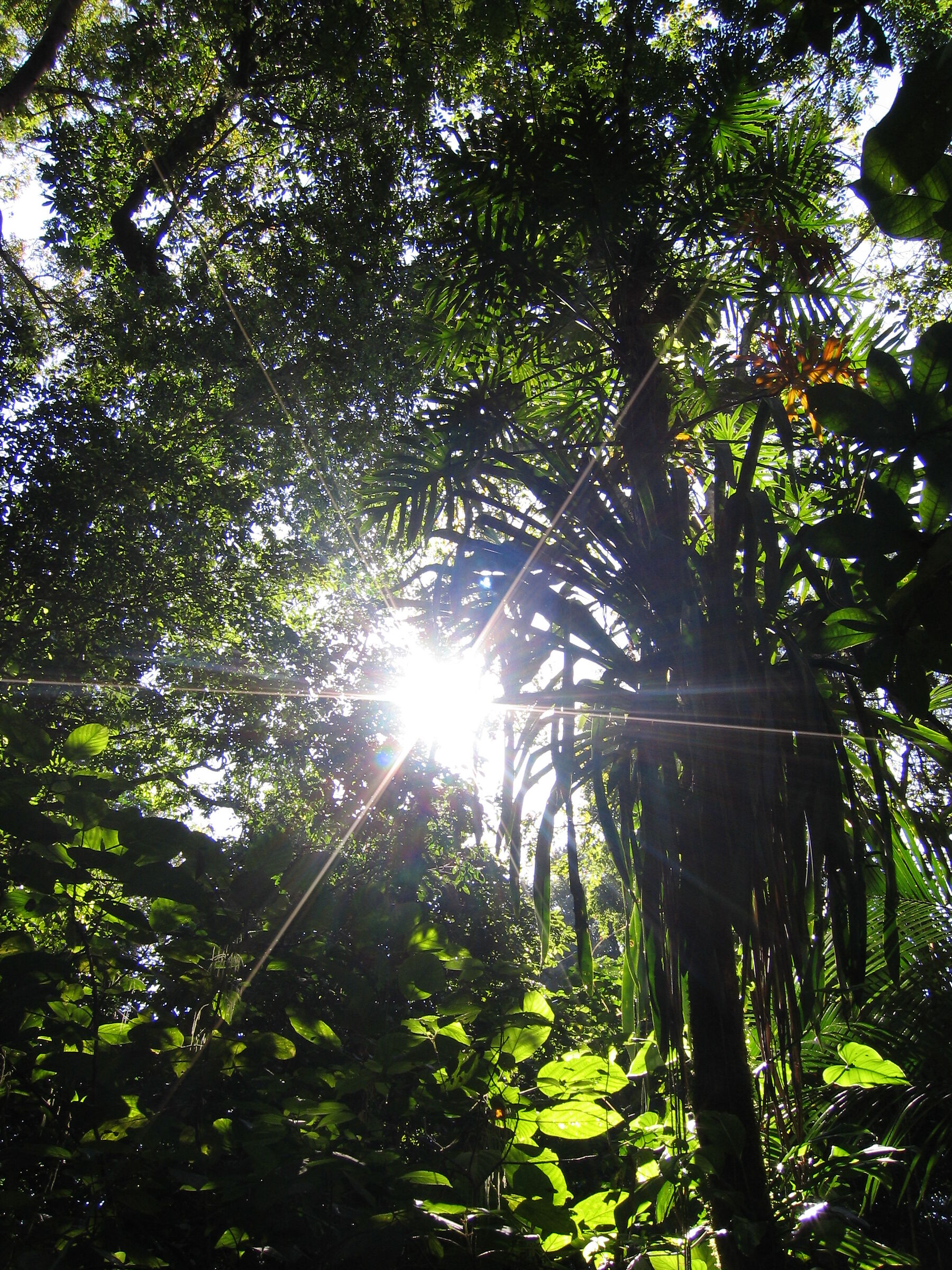 Palenque