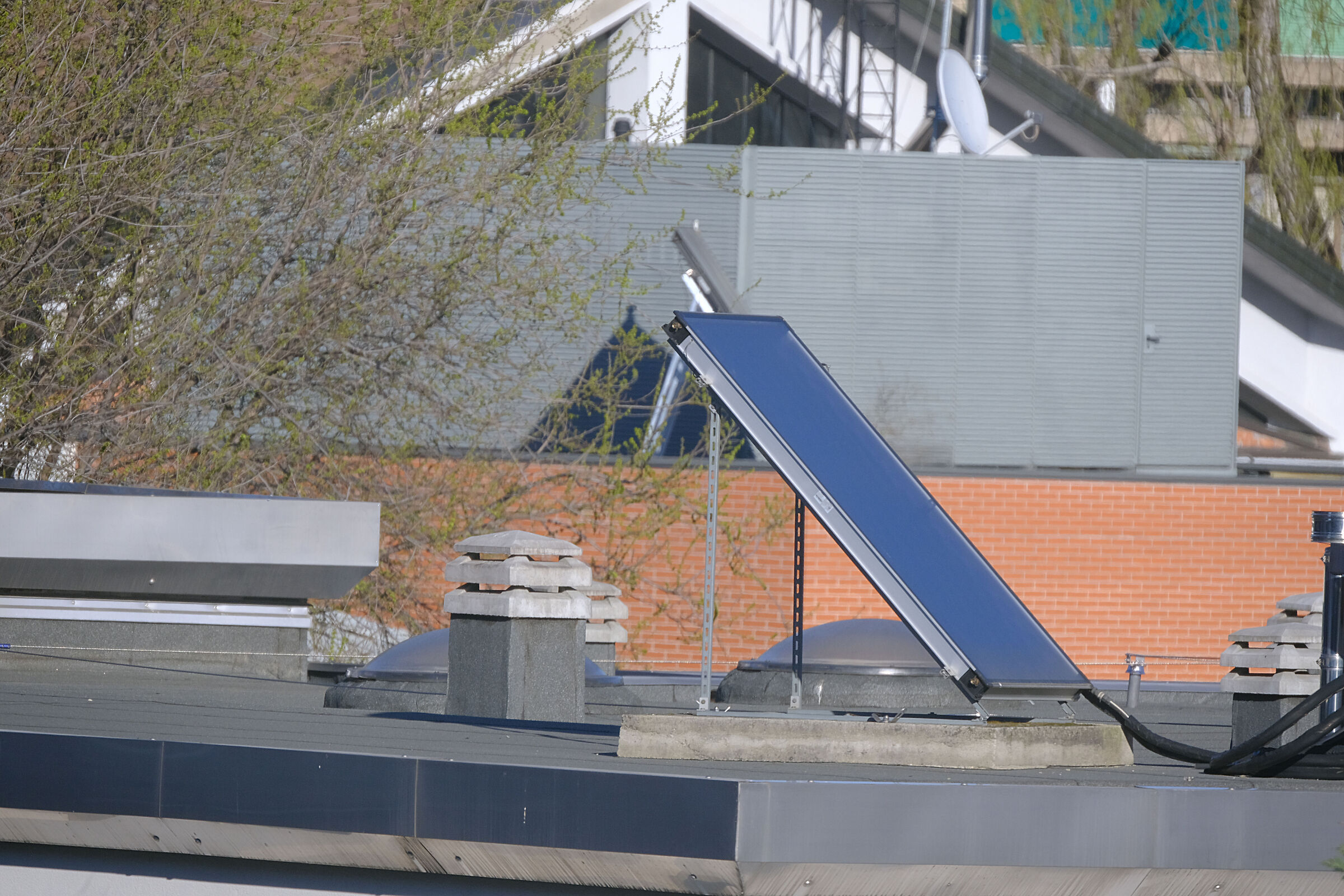 Tokina 300 mirror a 200 mt. ritoccata Photoshop