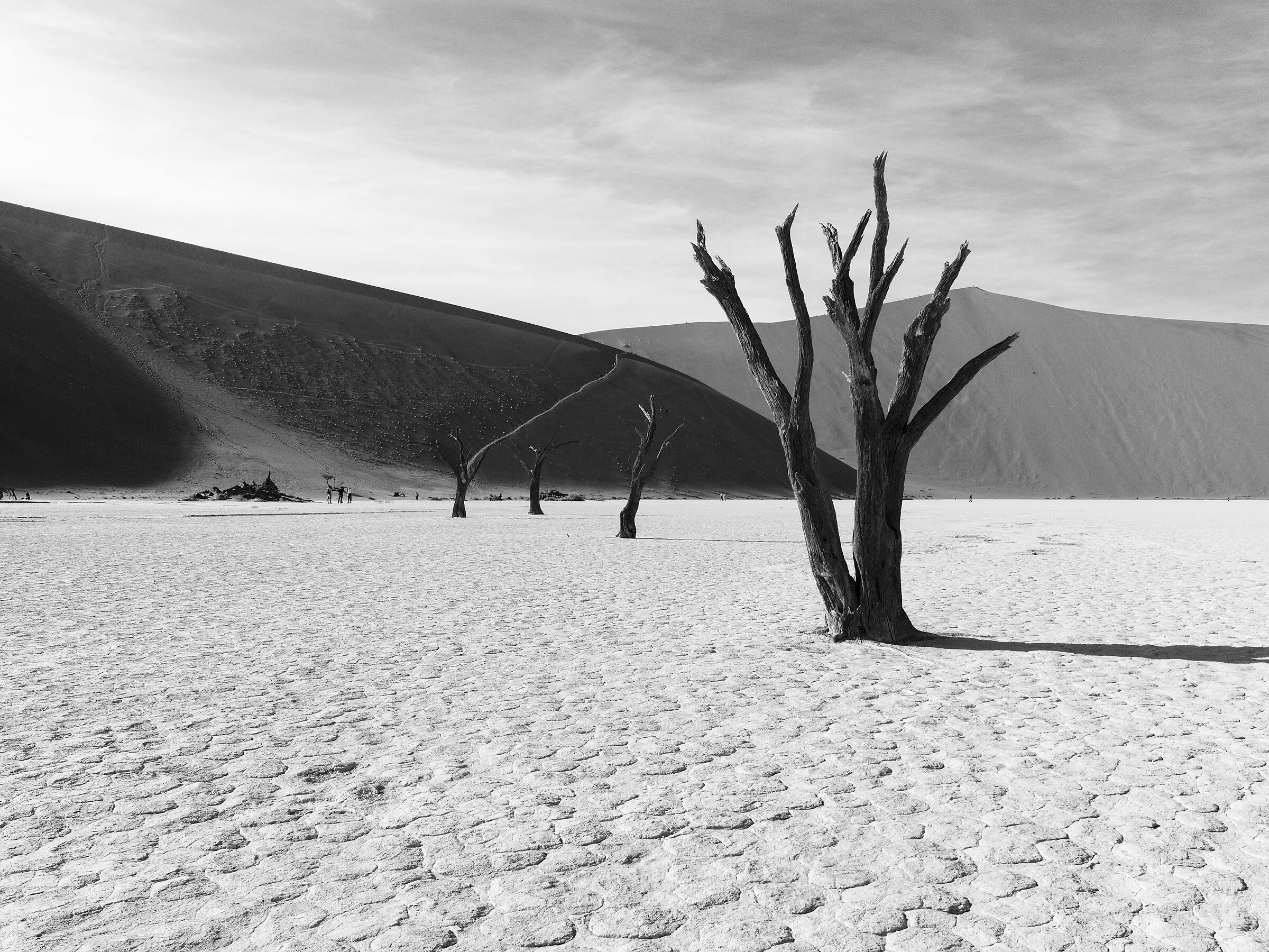 Deadvlei People's Party