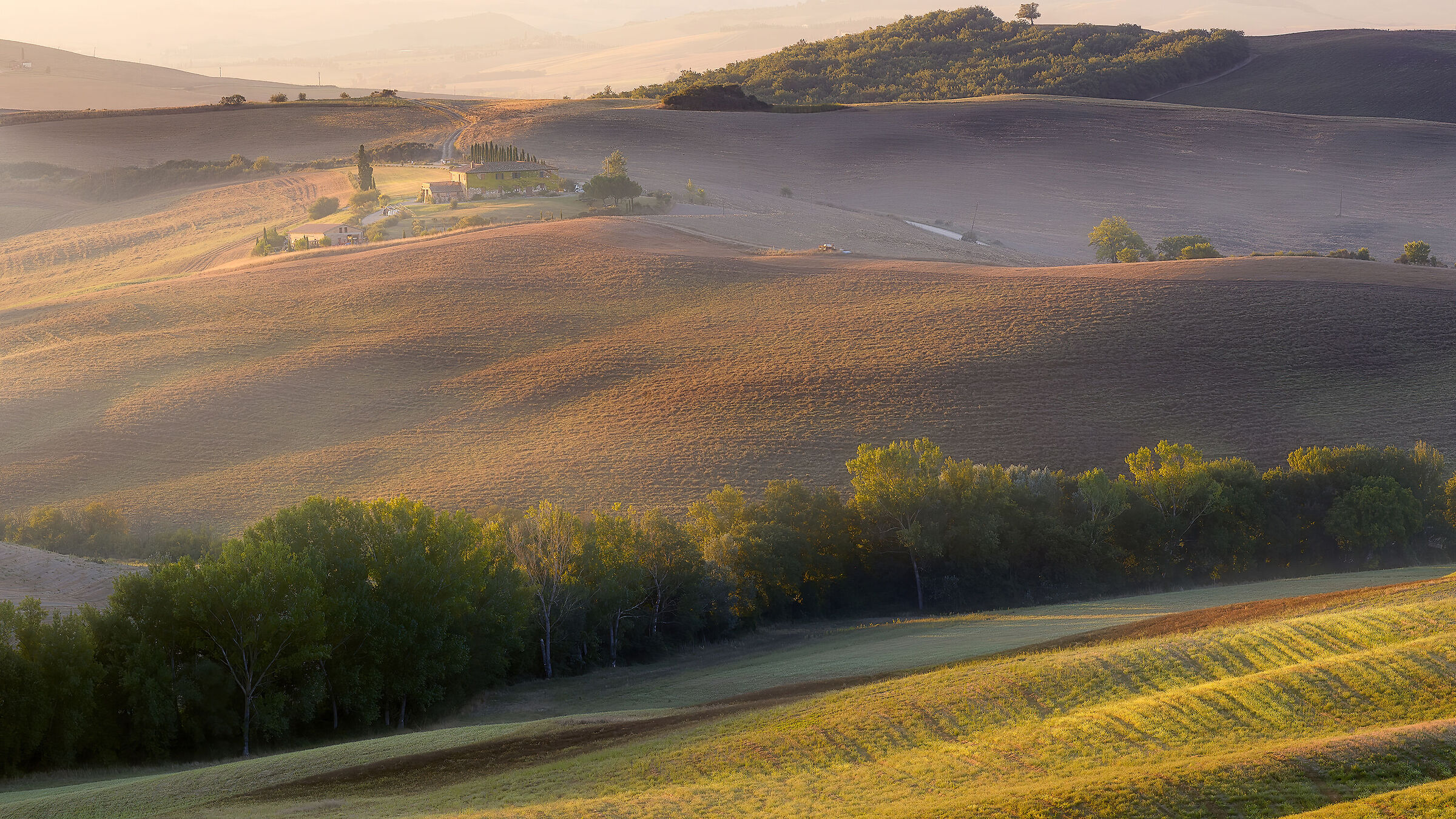 Hills and Farmhouses
