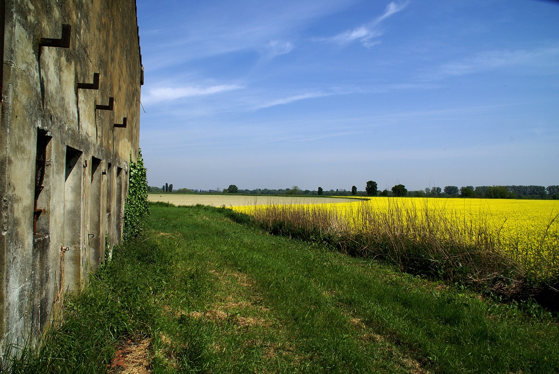 Po valley landscape