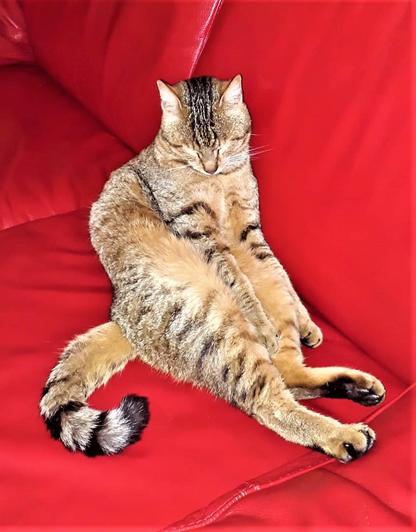 nap 2