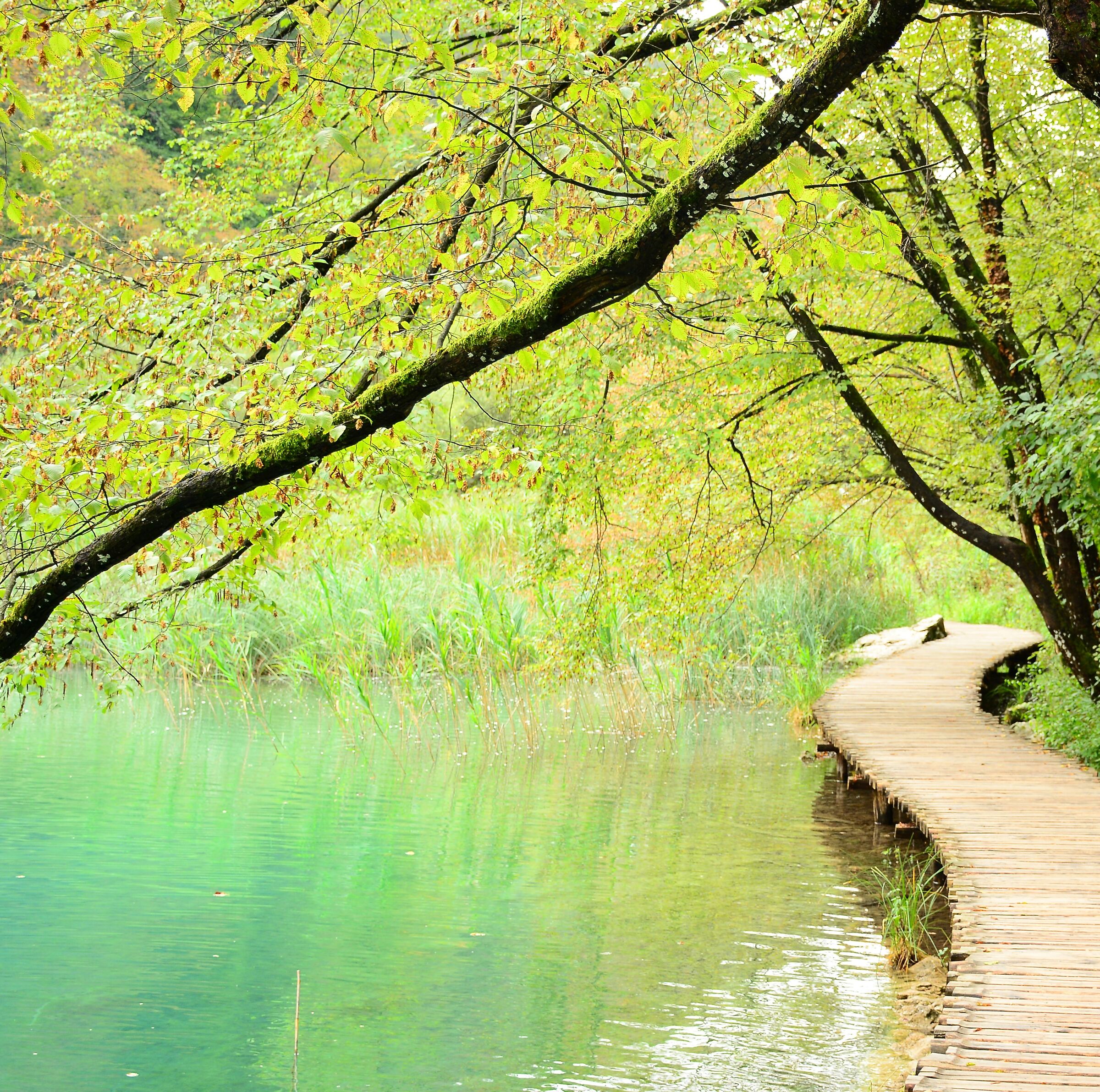 the matter of dreams-1